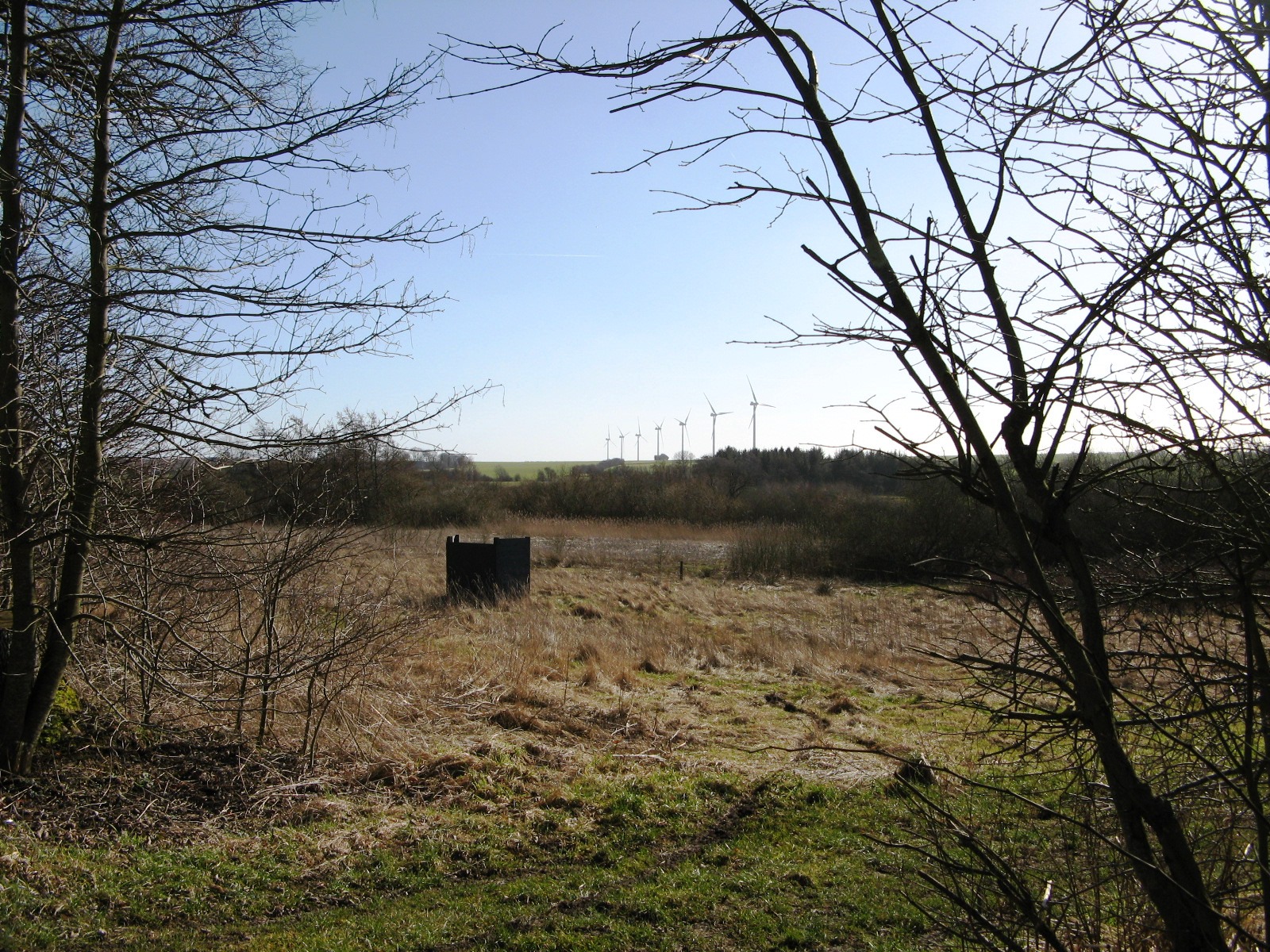 Området ved Gjerlev Kær