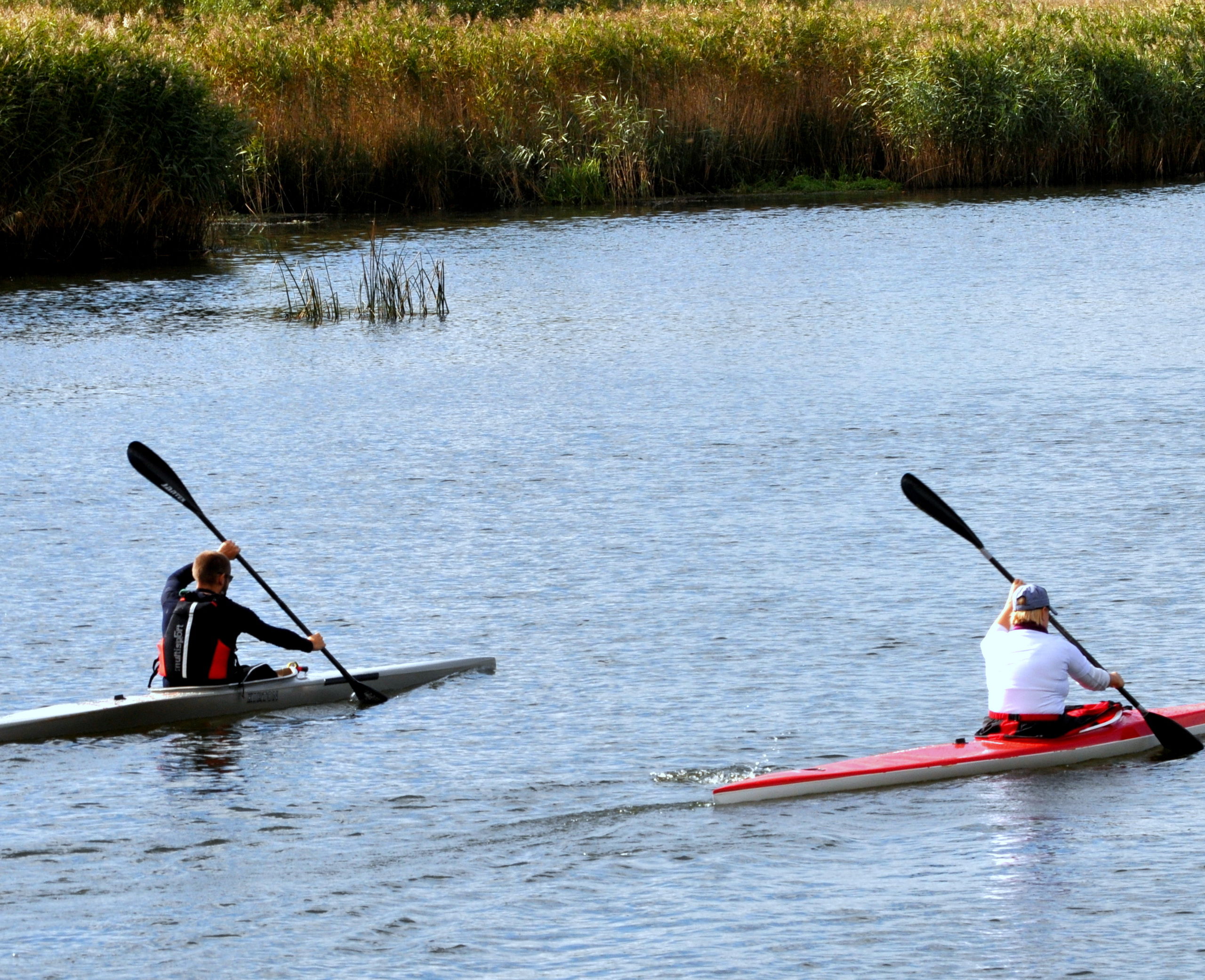 Kajakker på Gudenåen