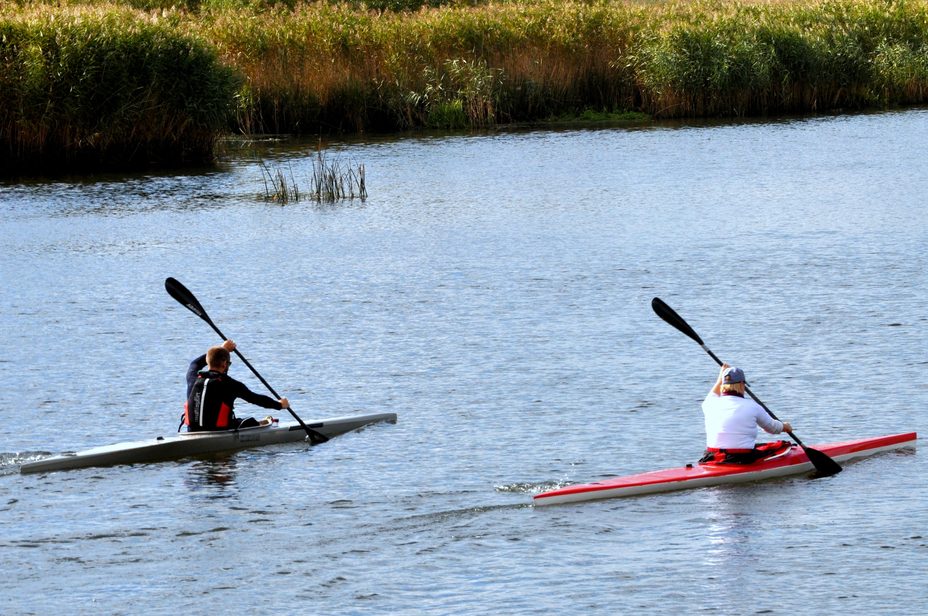 Kajakker på Gudenåen