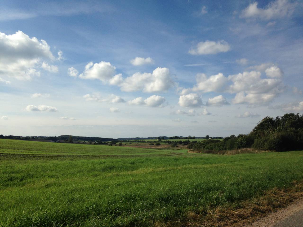 Marker ved Øster Bjerregrav