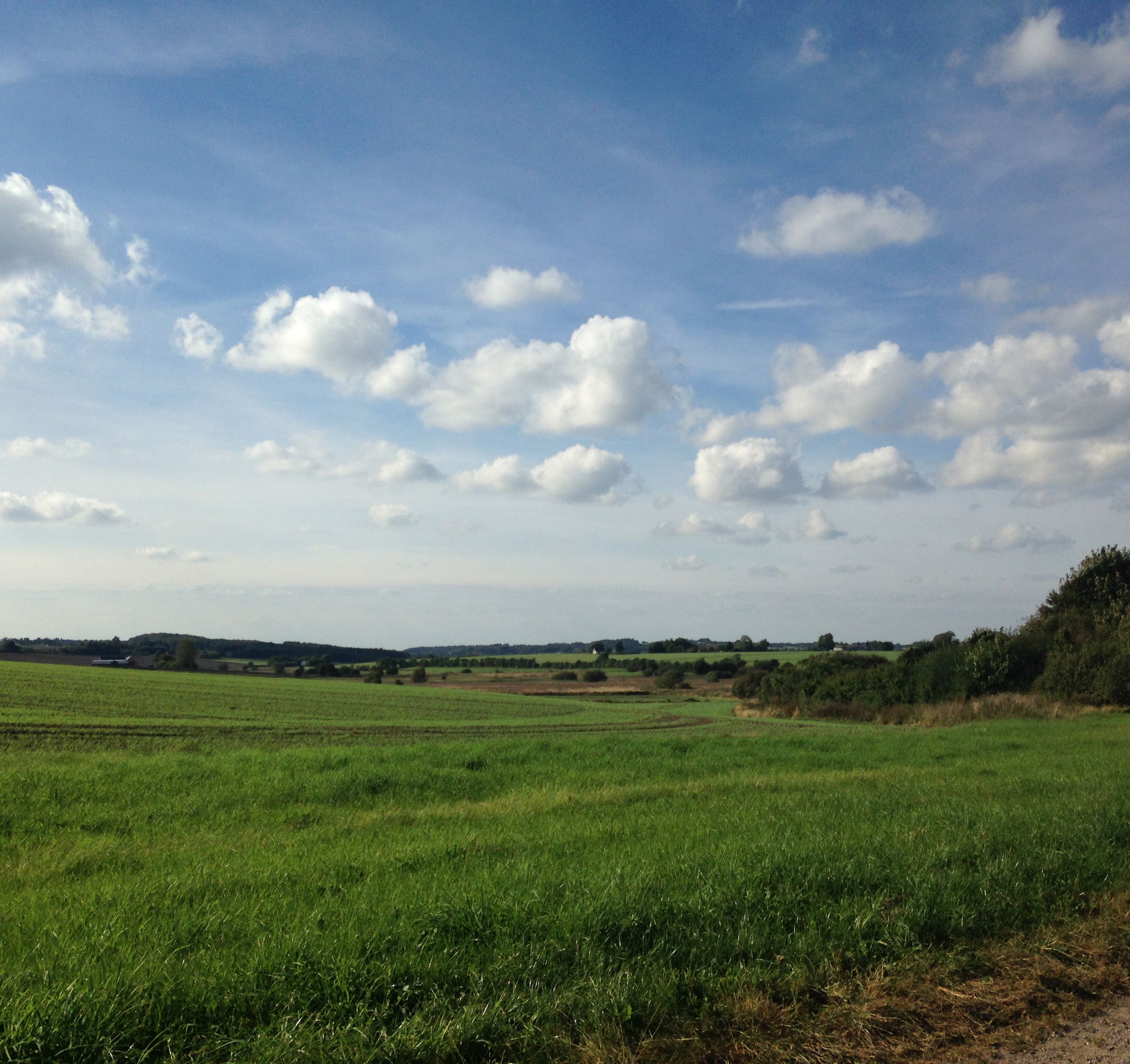 Marker ved Øster Bjerregrav