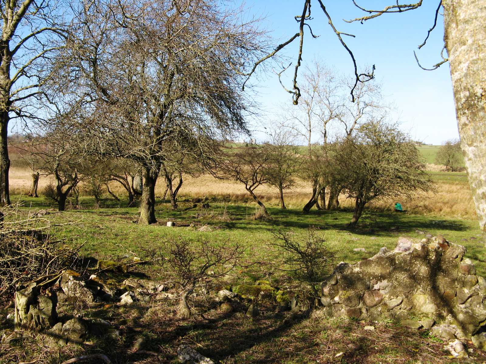 Området ved Gjerlev Kær