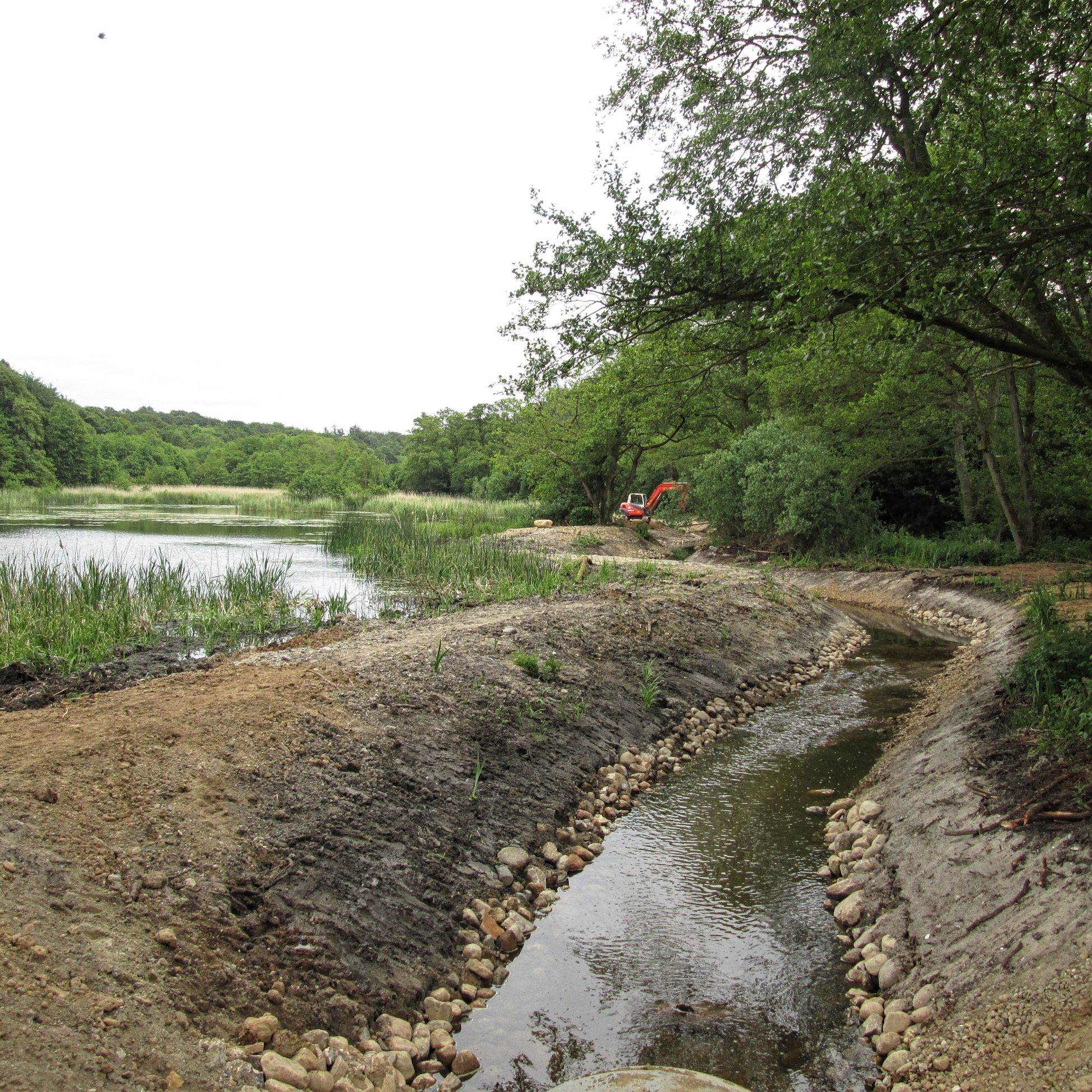 Bæk og sø ved Fussingø