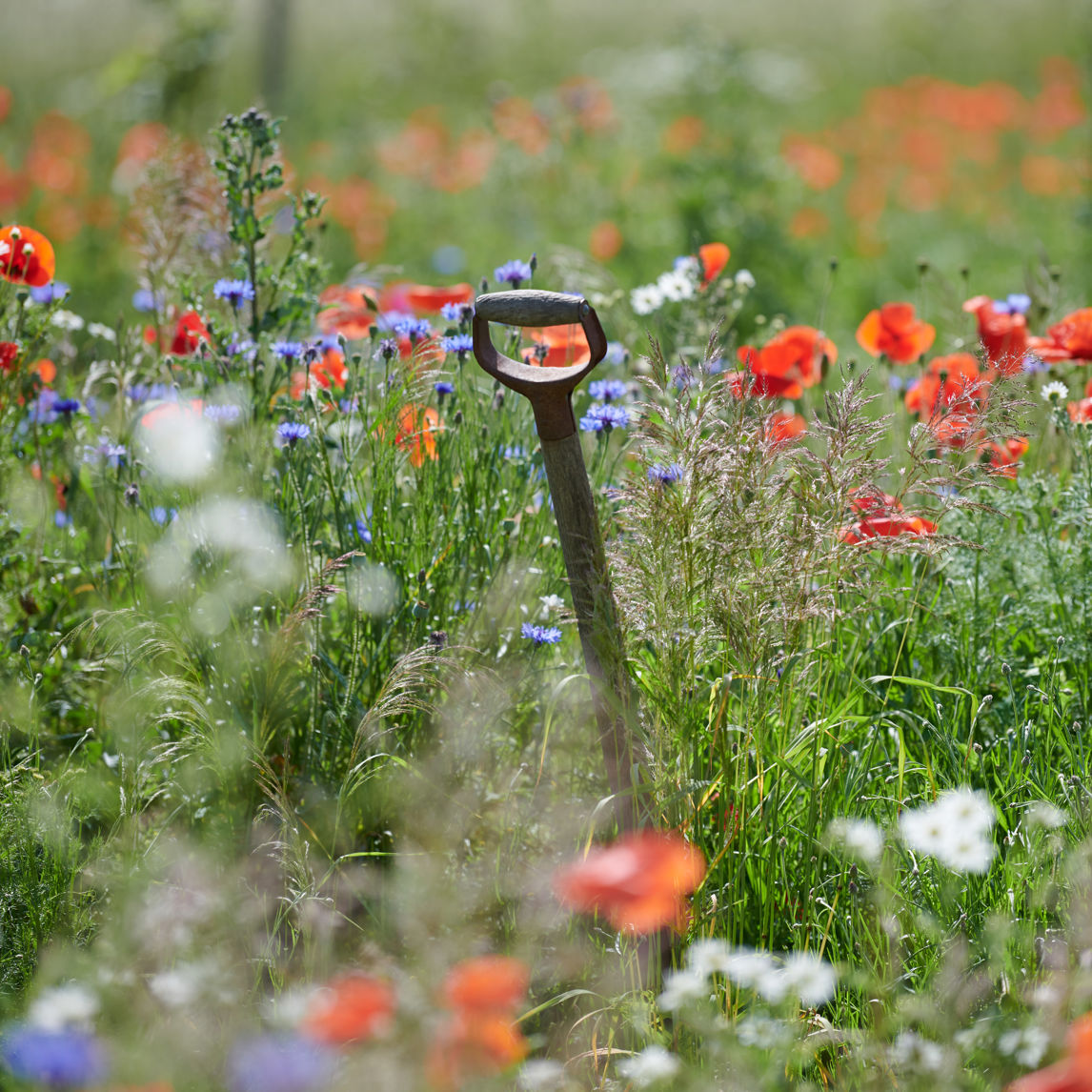 Havegreb i blomsterflor