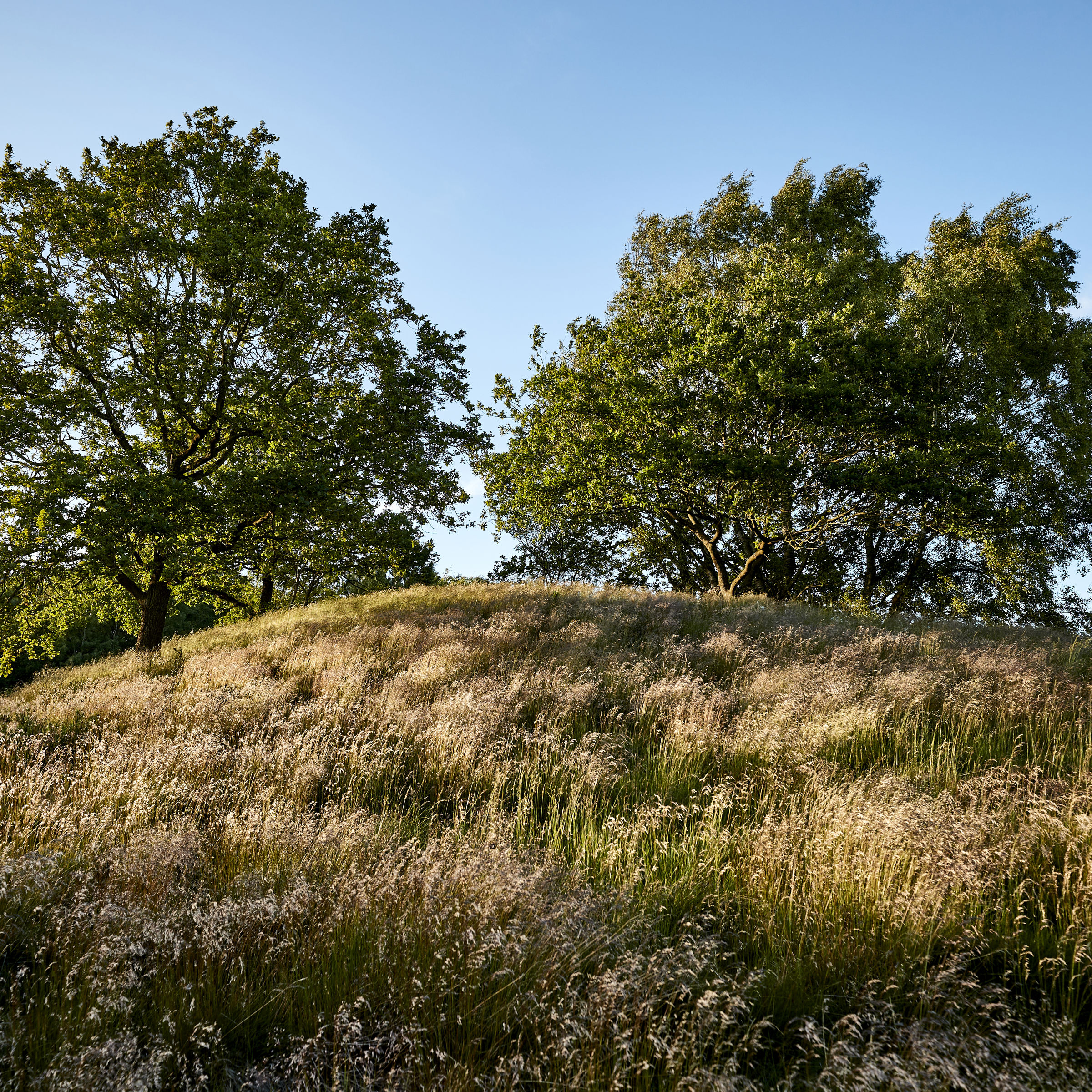 Læsten Bakker