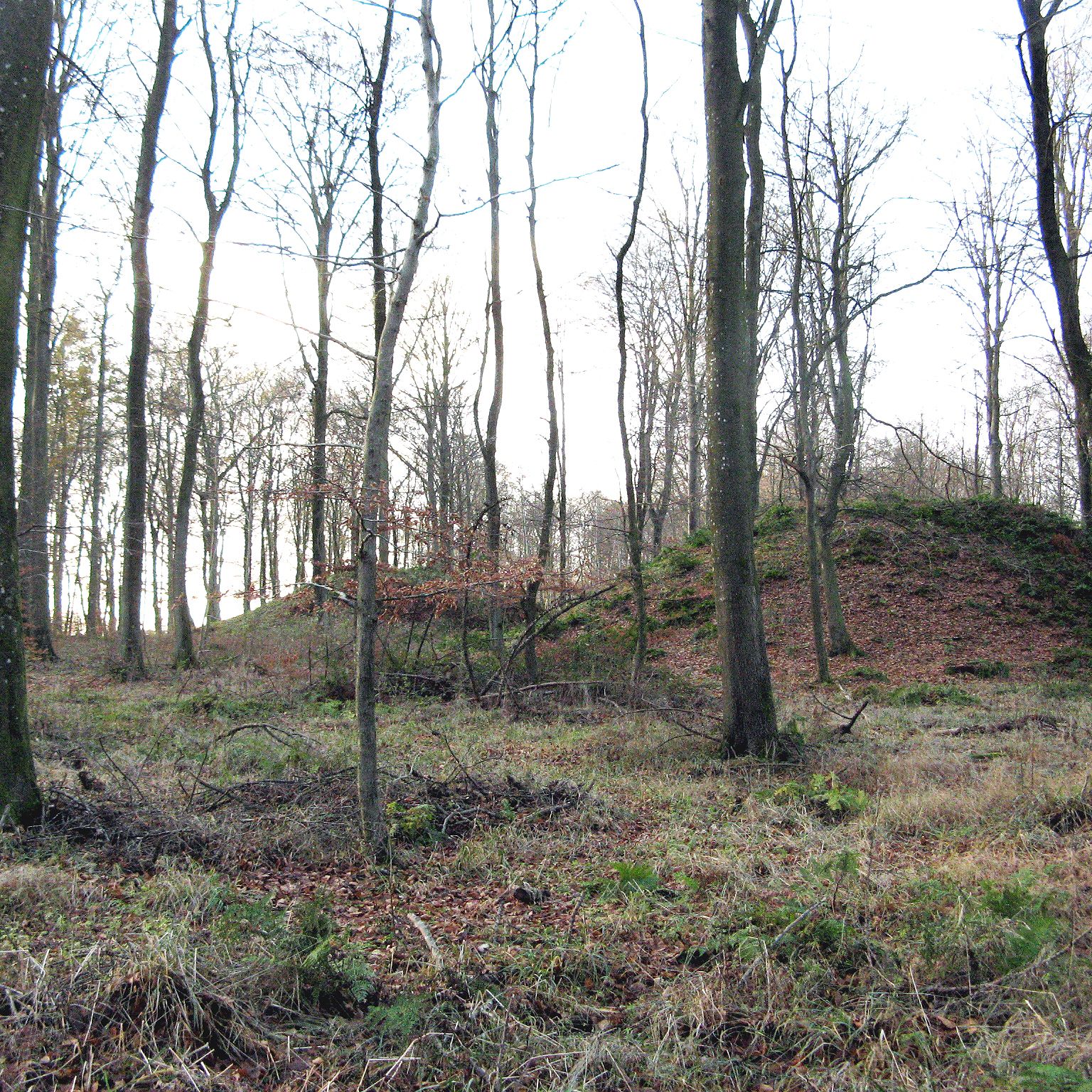 Tre høje i Fussingø Skov