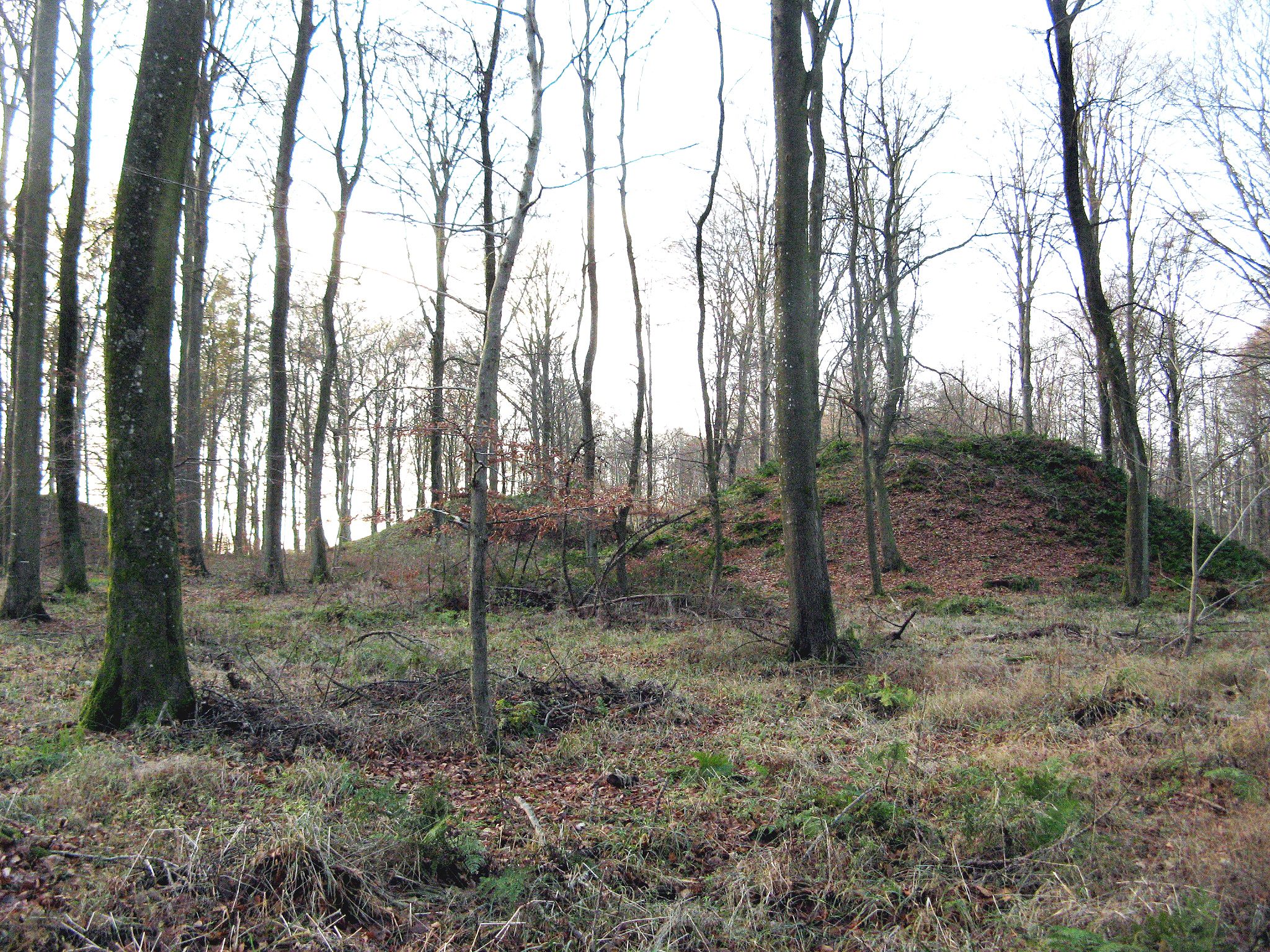 Tre høje i Fussingø Skov