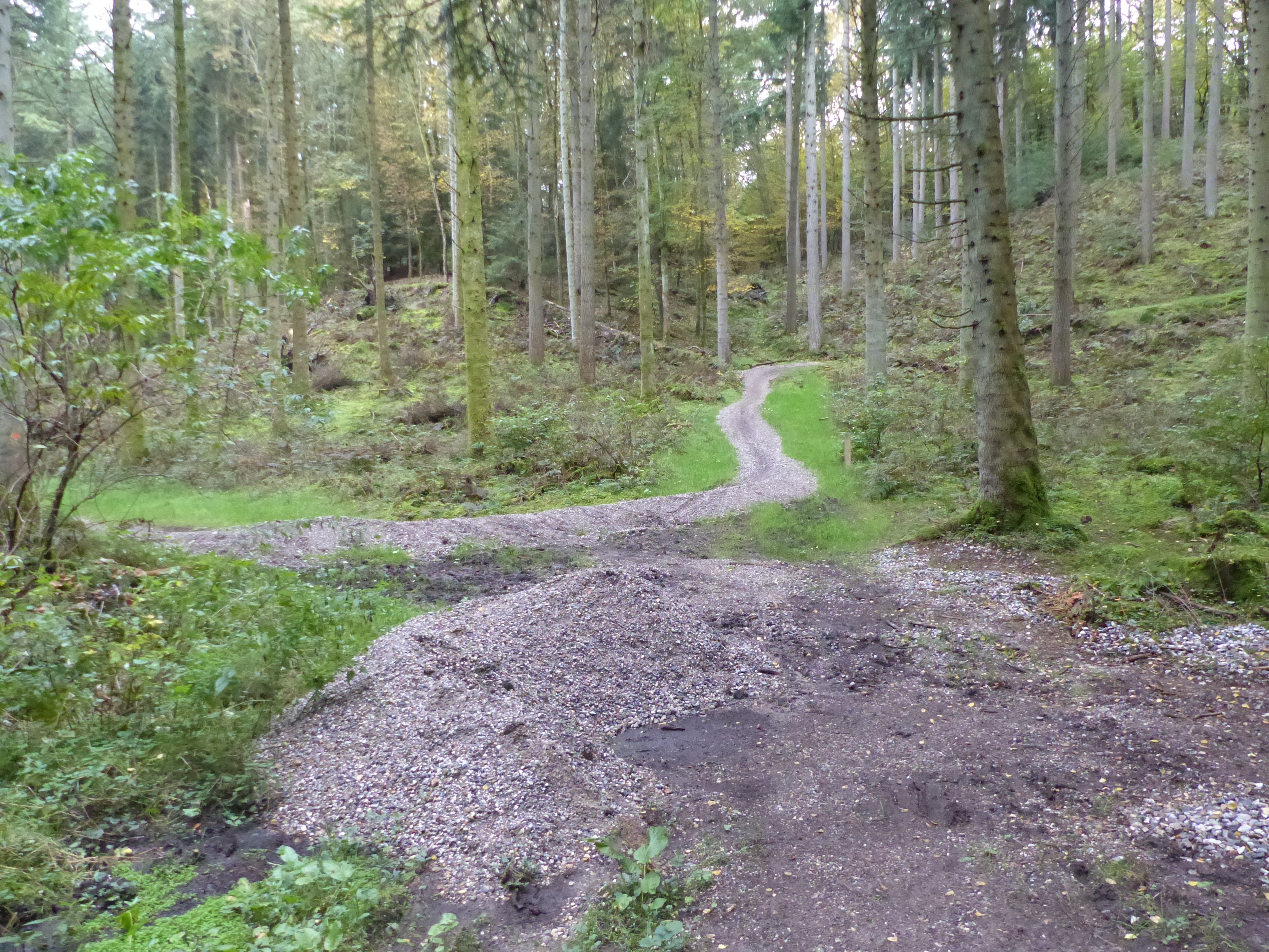 Stier til mountainbikes i Fussingø Skov