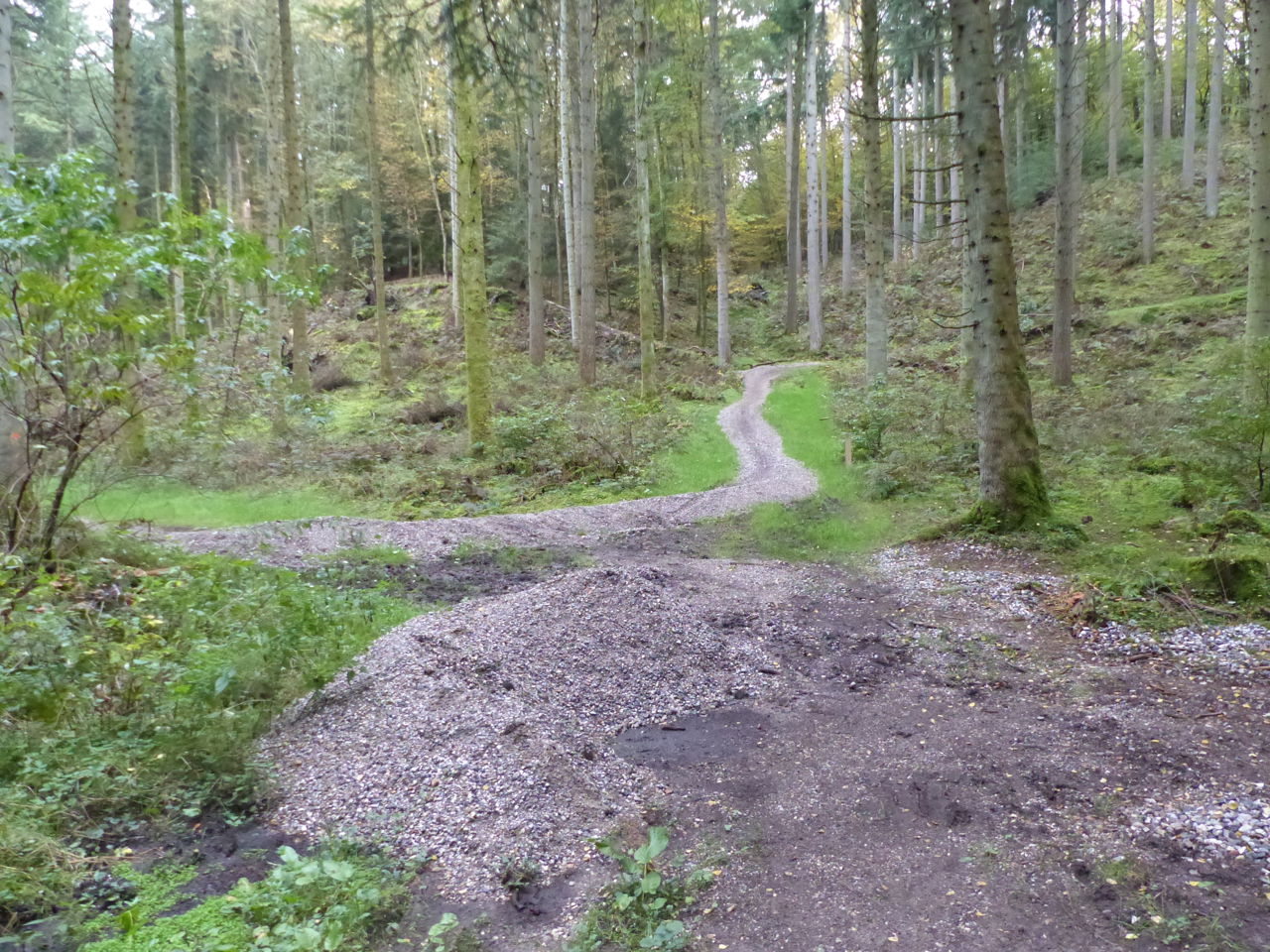 Stier til mountainbikes i Fussingø Skov