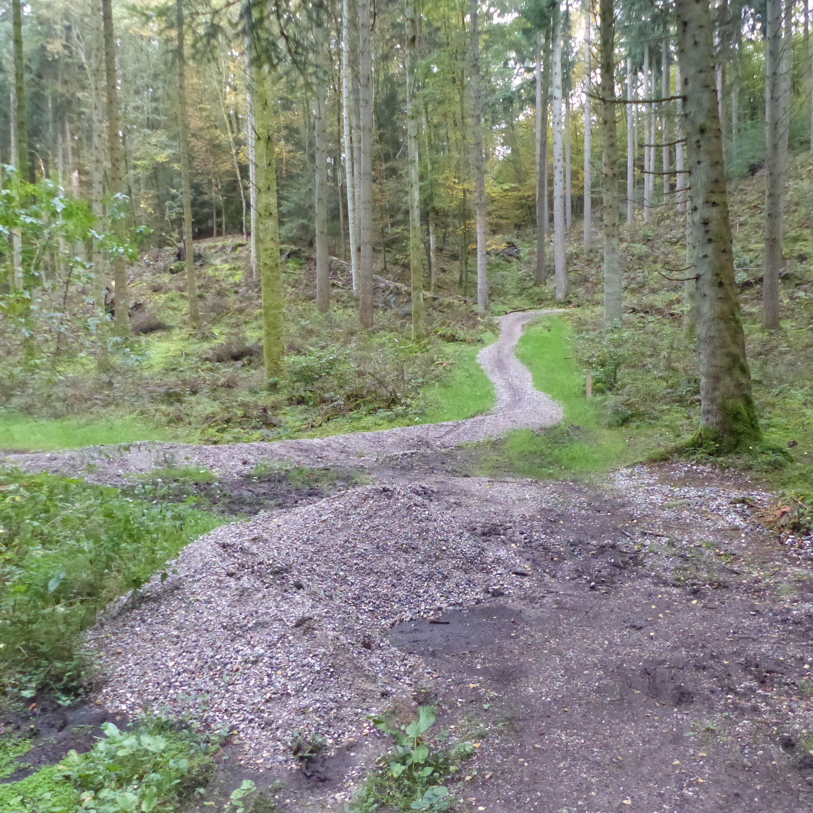 Stier til mountainbikes i Fussingø Skov
