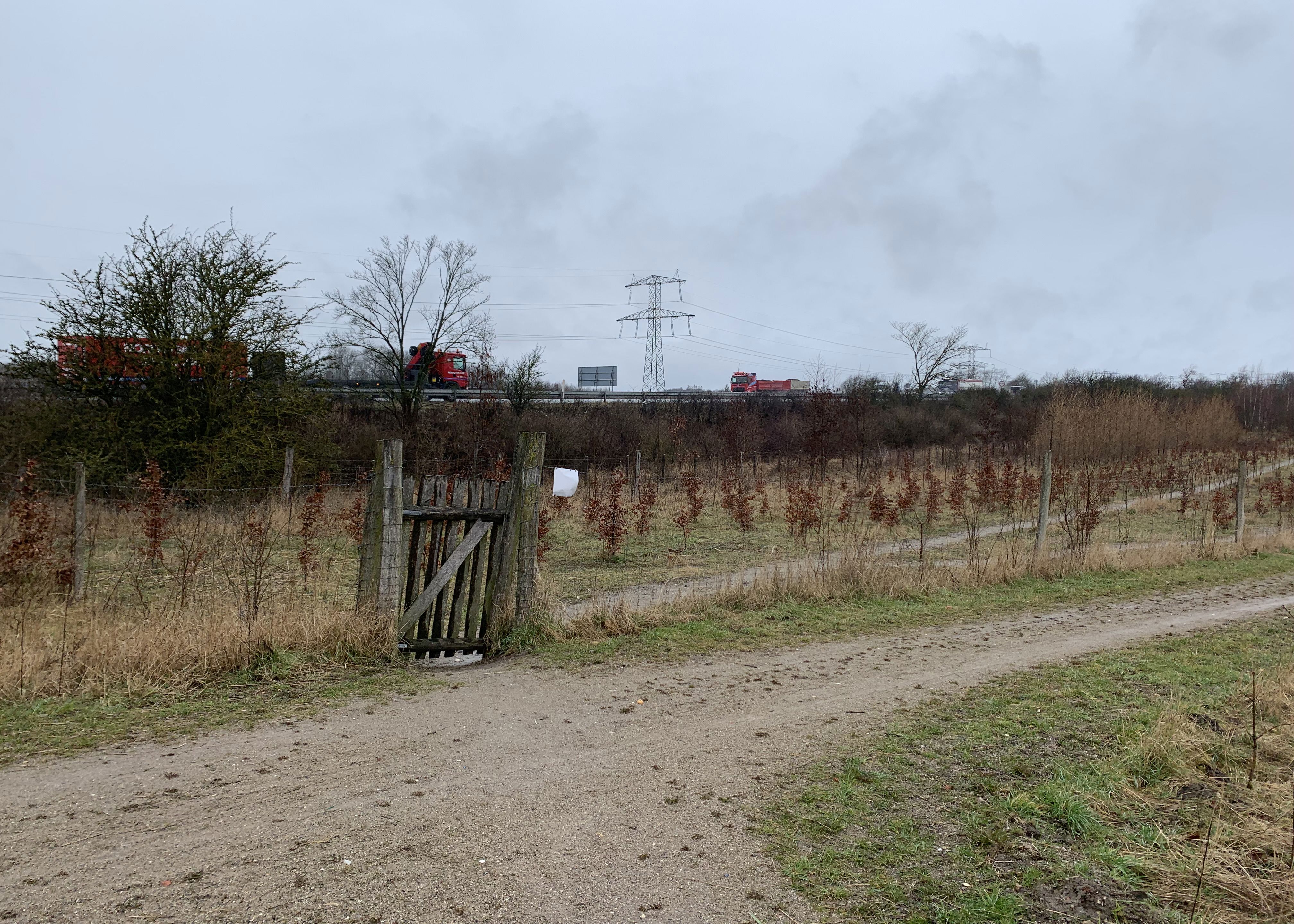 Oust Mølle Folkeskov