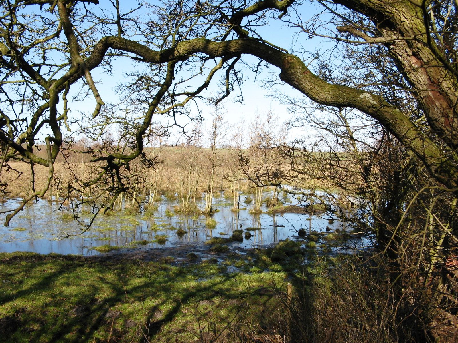 Området ved Gjerlev Kær
