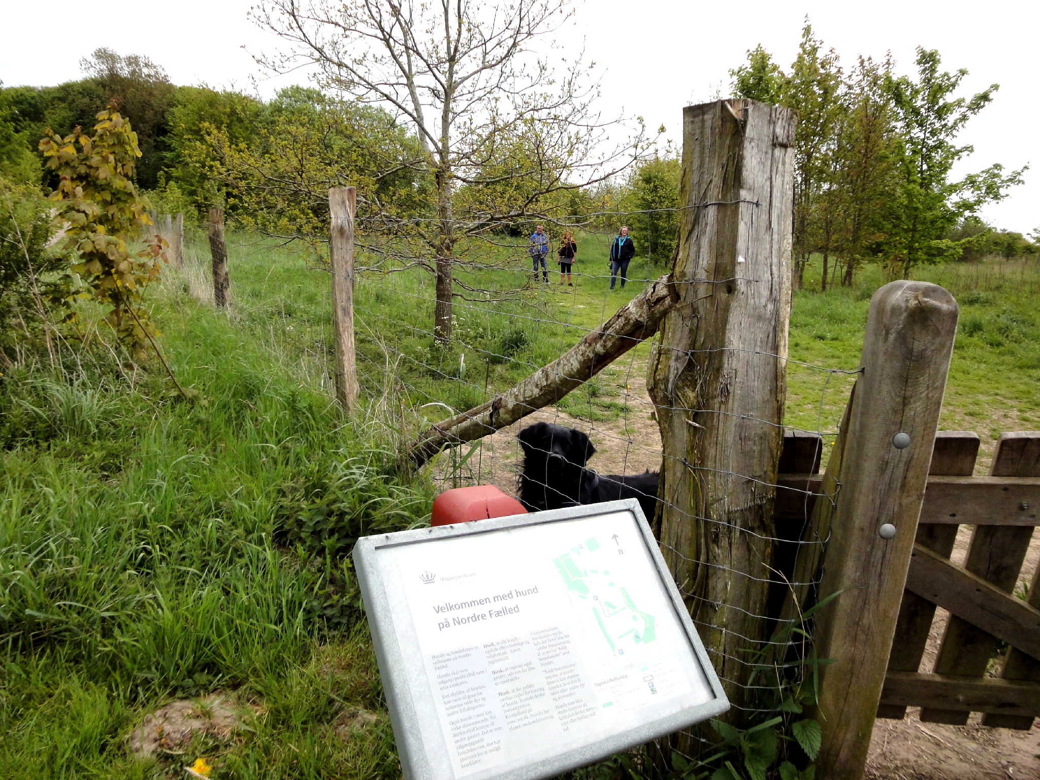 Nordre Fælled Hundeskov