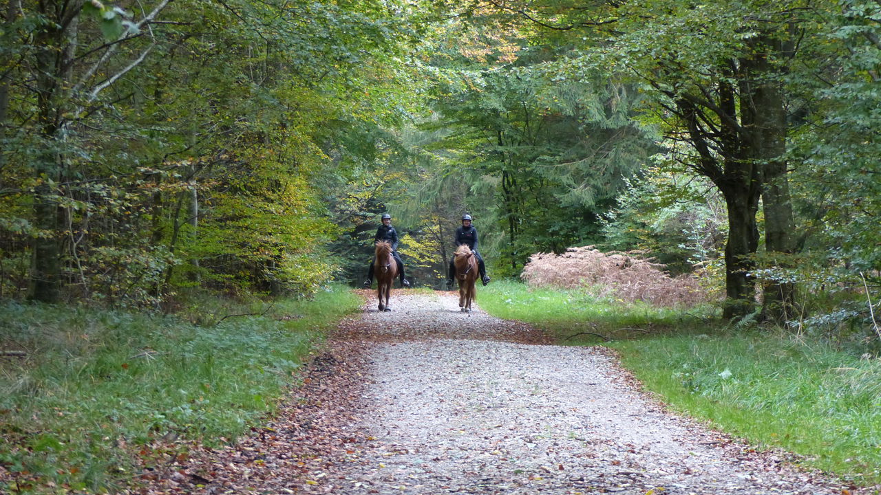 To personer til hest i Fussingø Skov