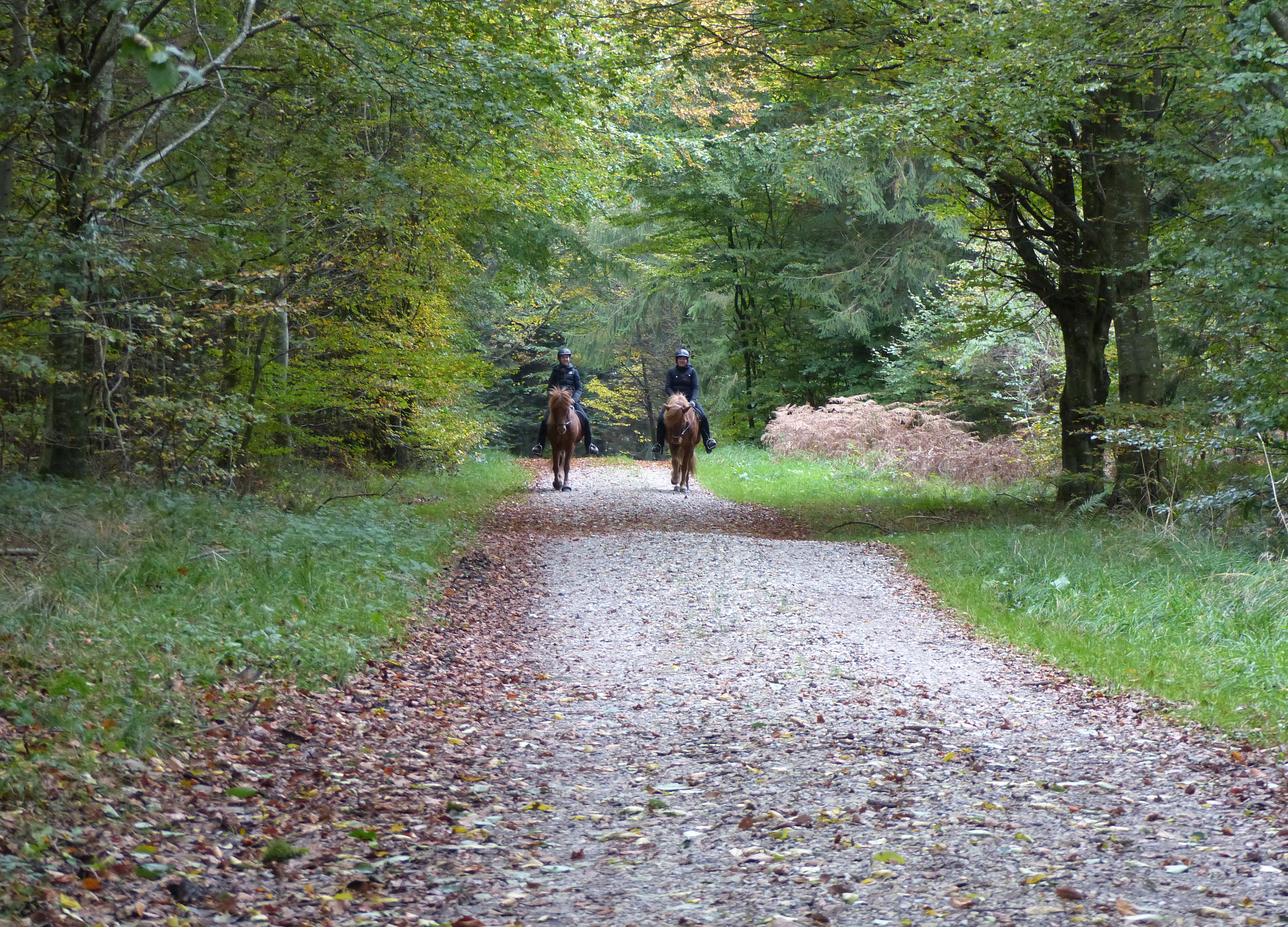 To personer til hest i Fussingø Skov