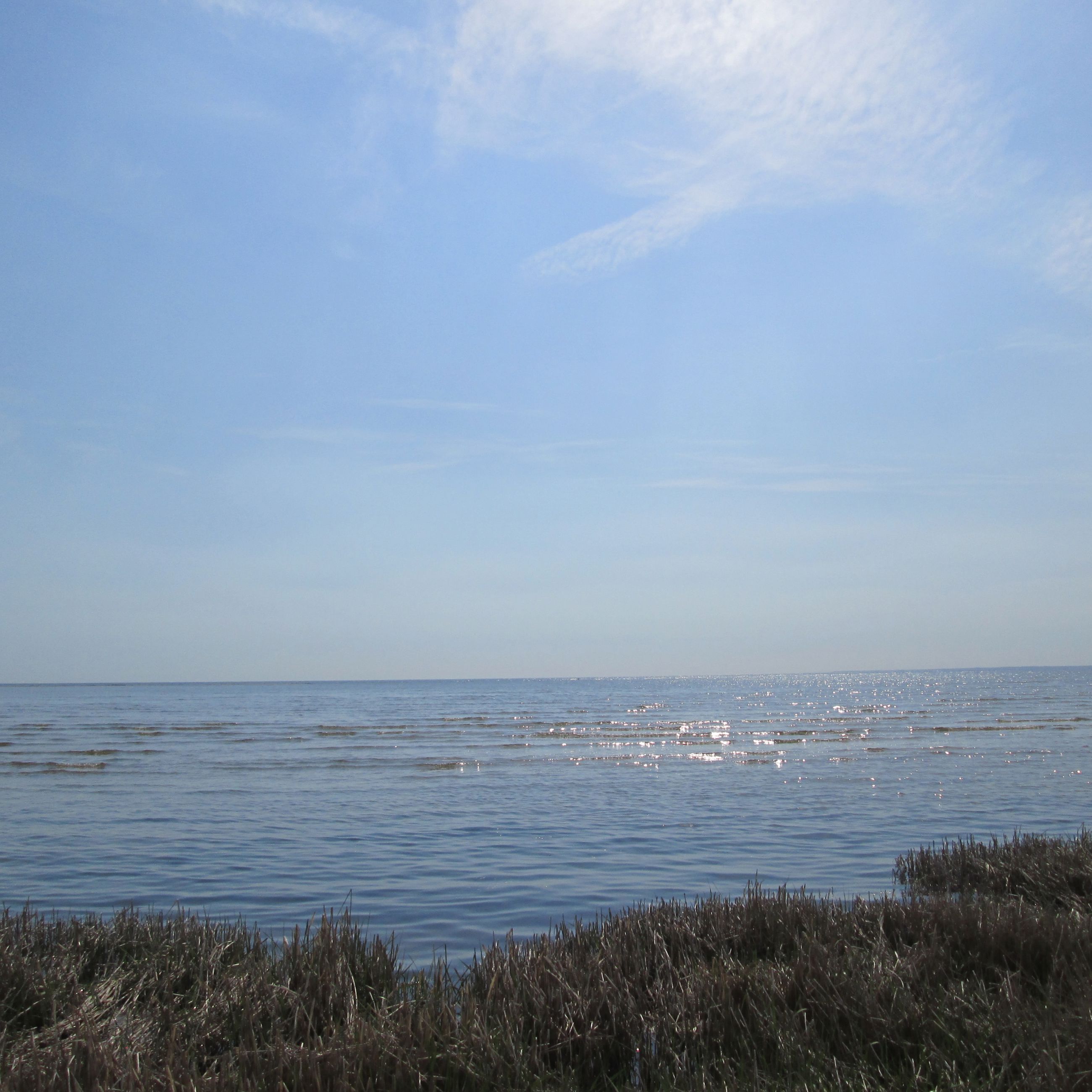 Strandengen og Kattegat