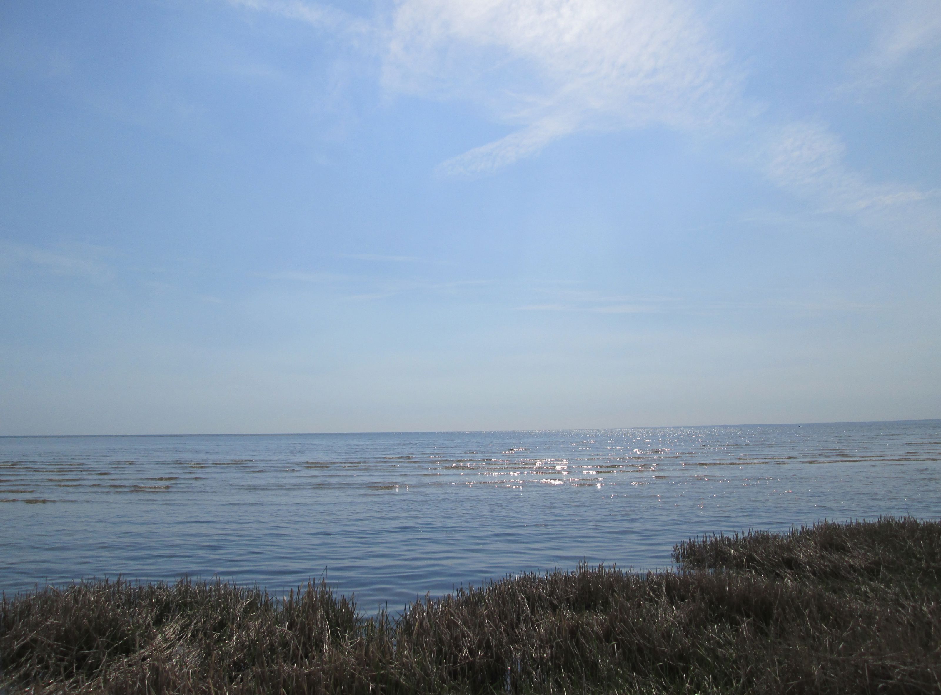 Strandengen og Kattegat