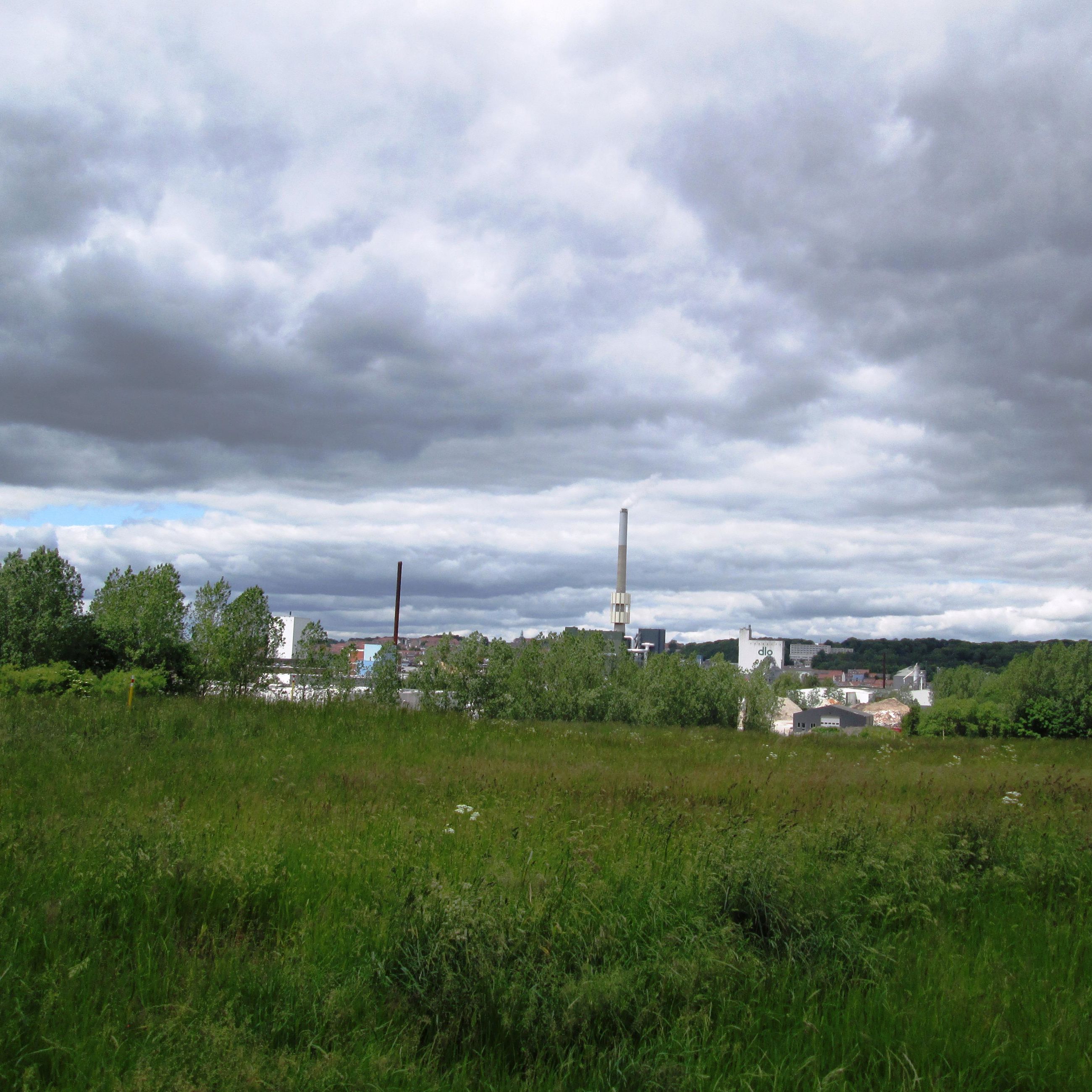 Udsigt fra Skovholmen