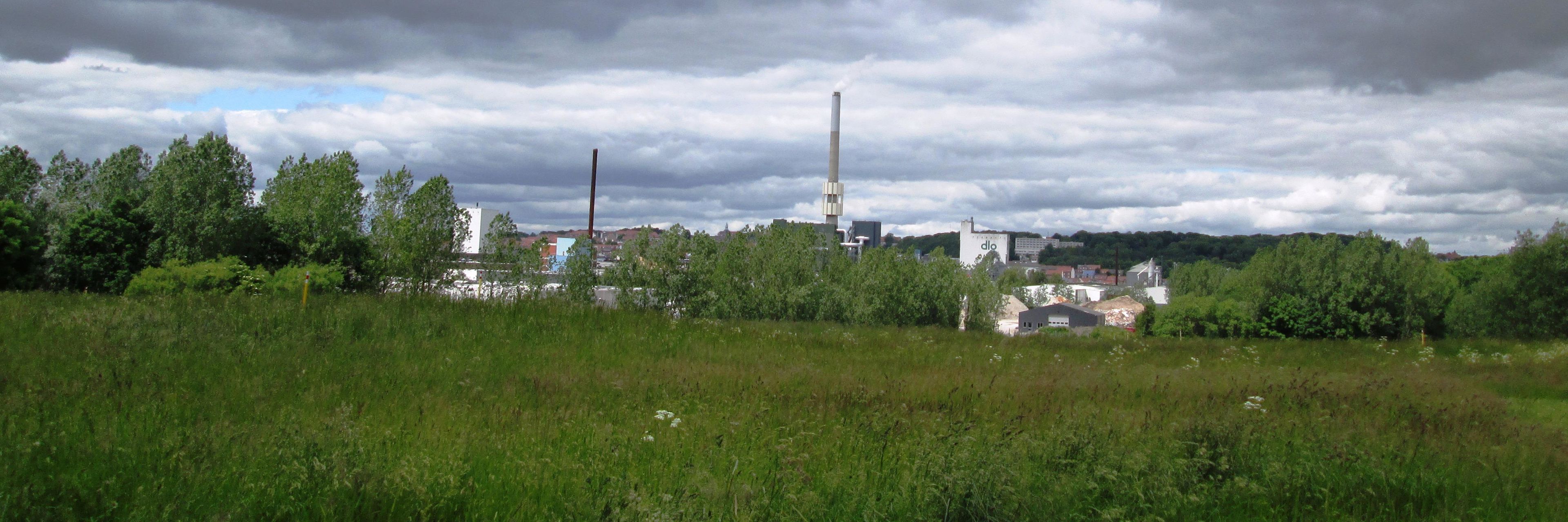 Udsigt fra Skovholmen