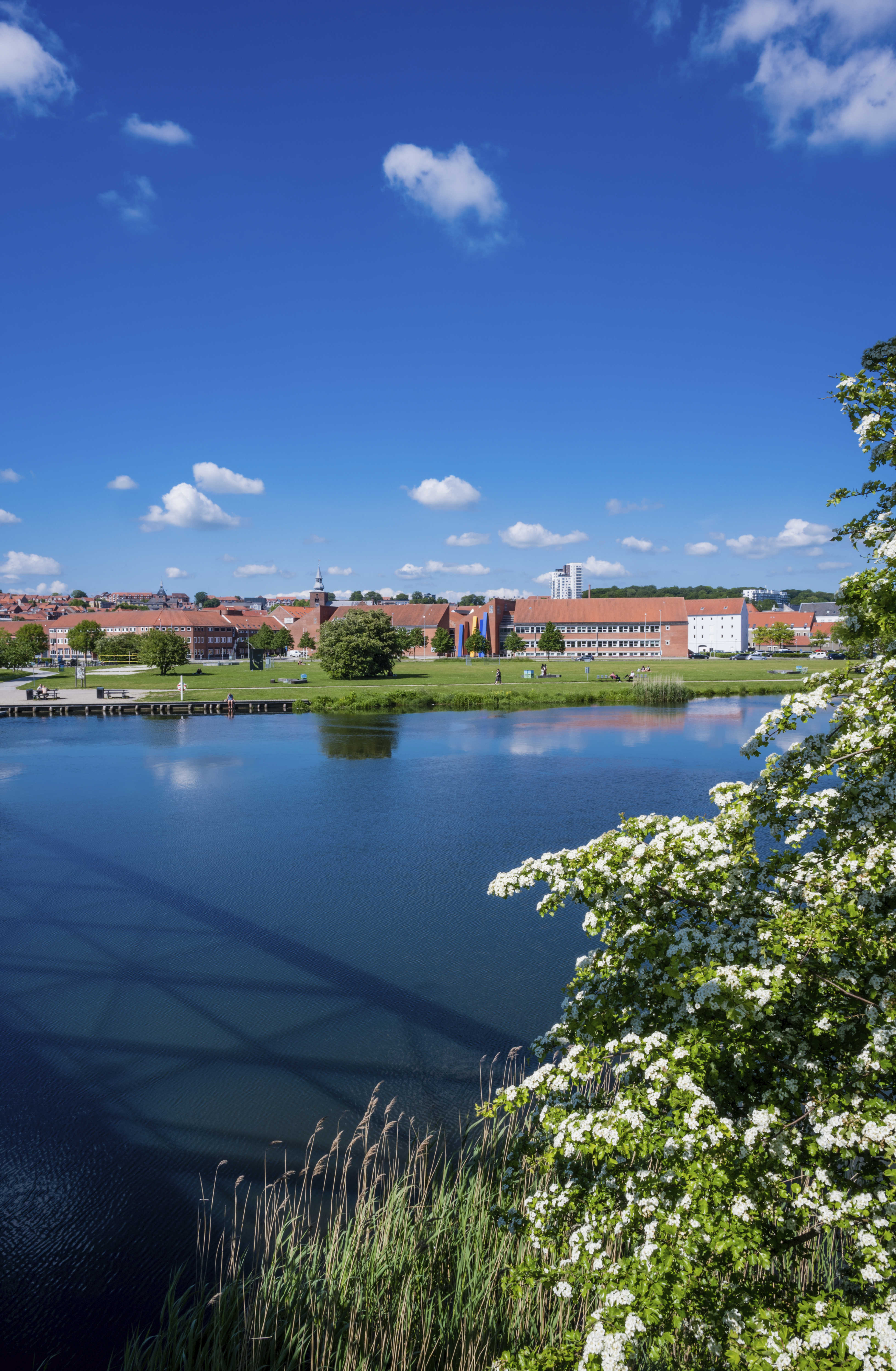 Laksetorvet Og Gudenåen