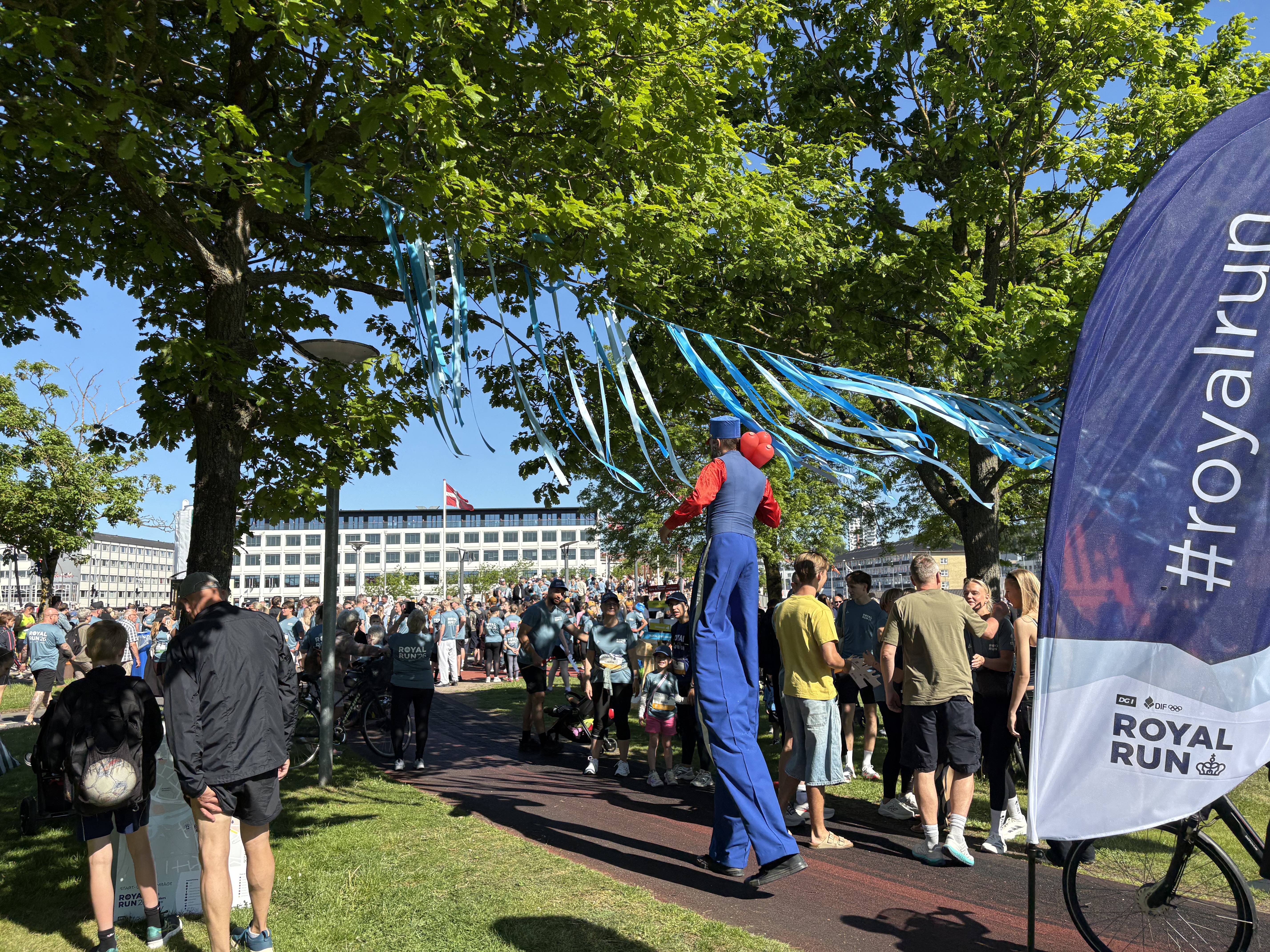 Aktivitet i Tronholmparken