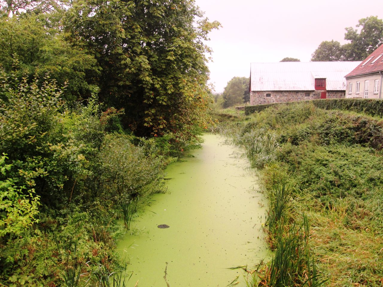 Voldgraven ved Brusgård