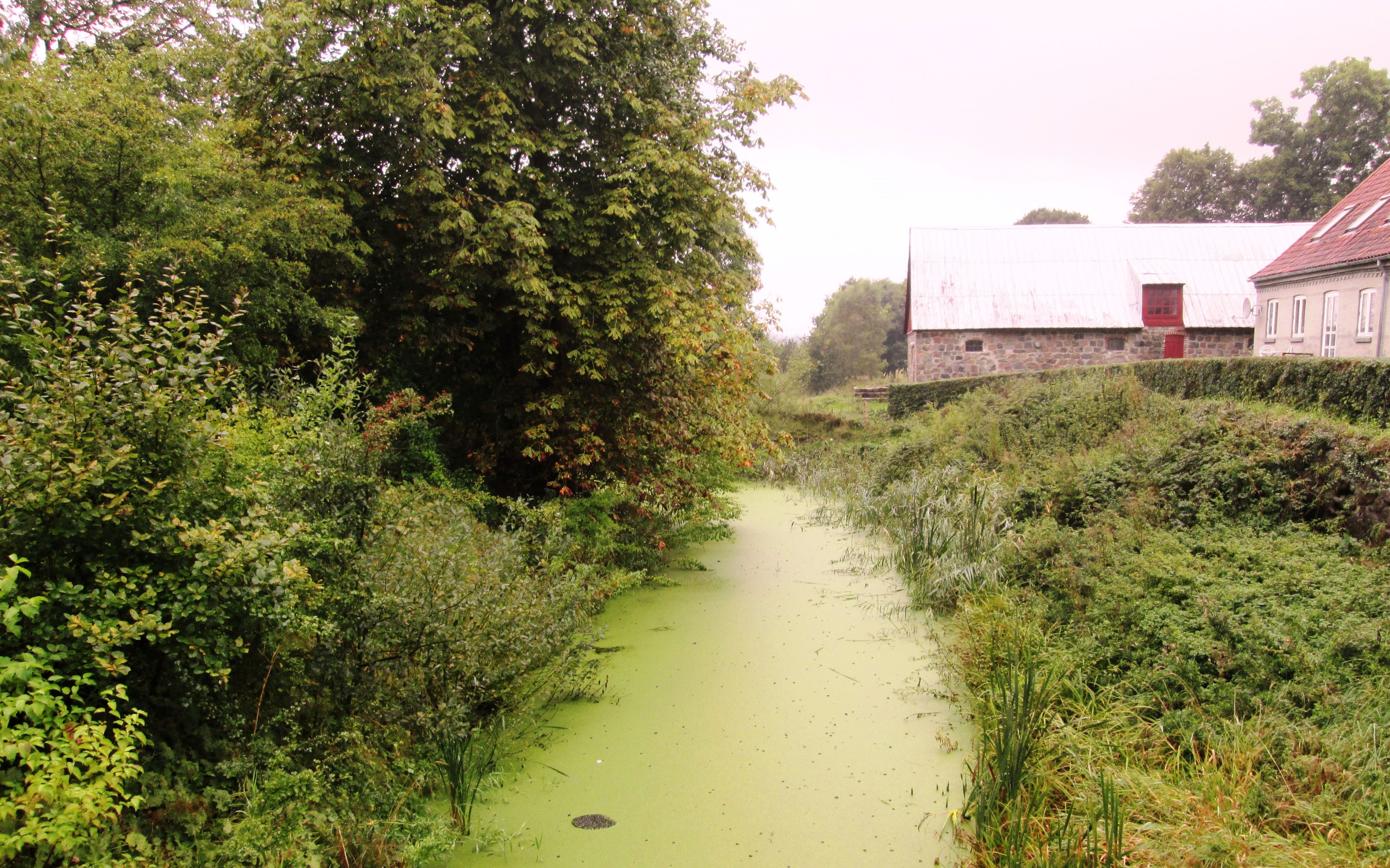 Voldgraven ved Brusgård