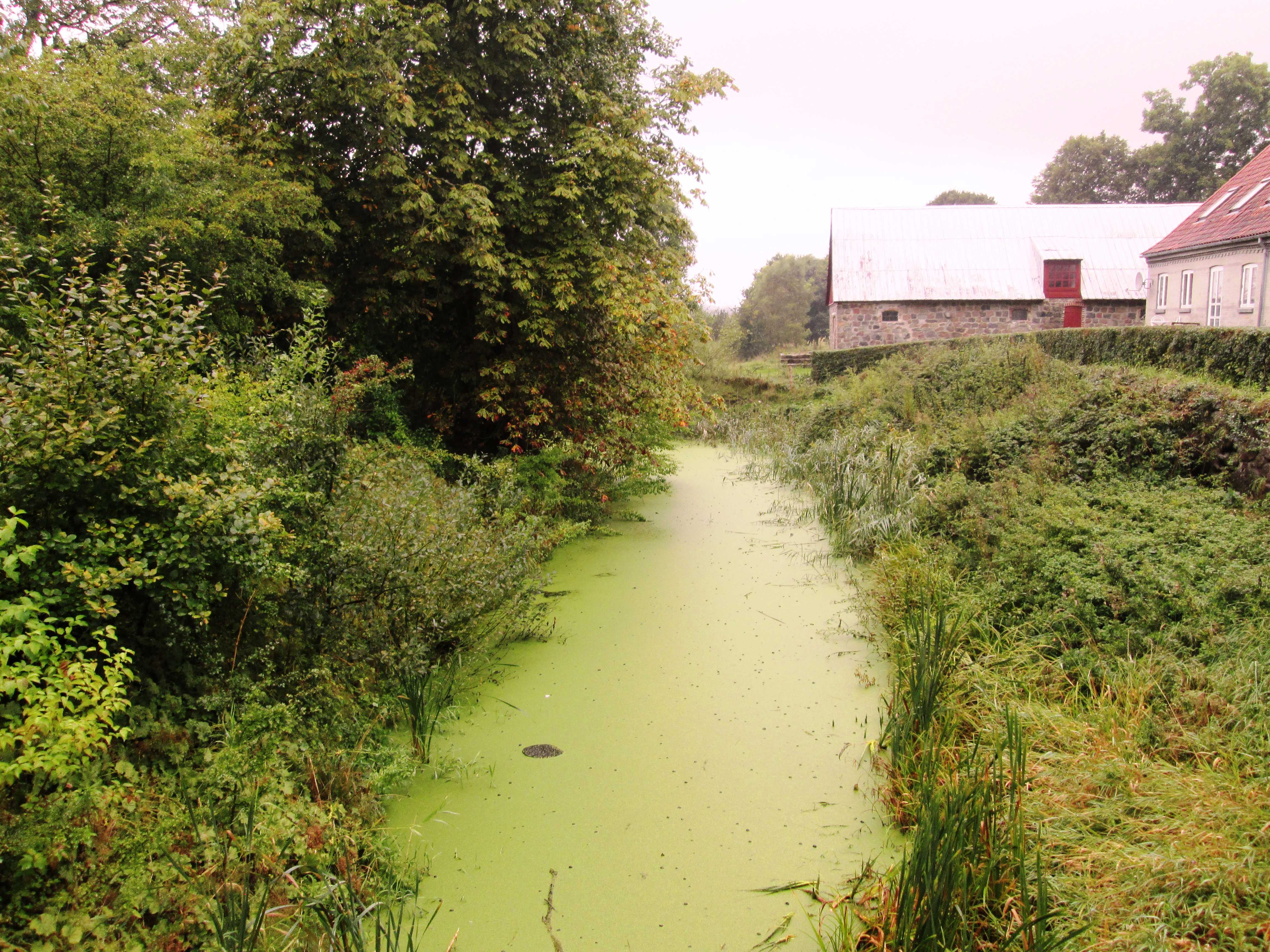 Voldgraven ved Brusgård