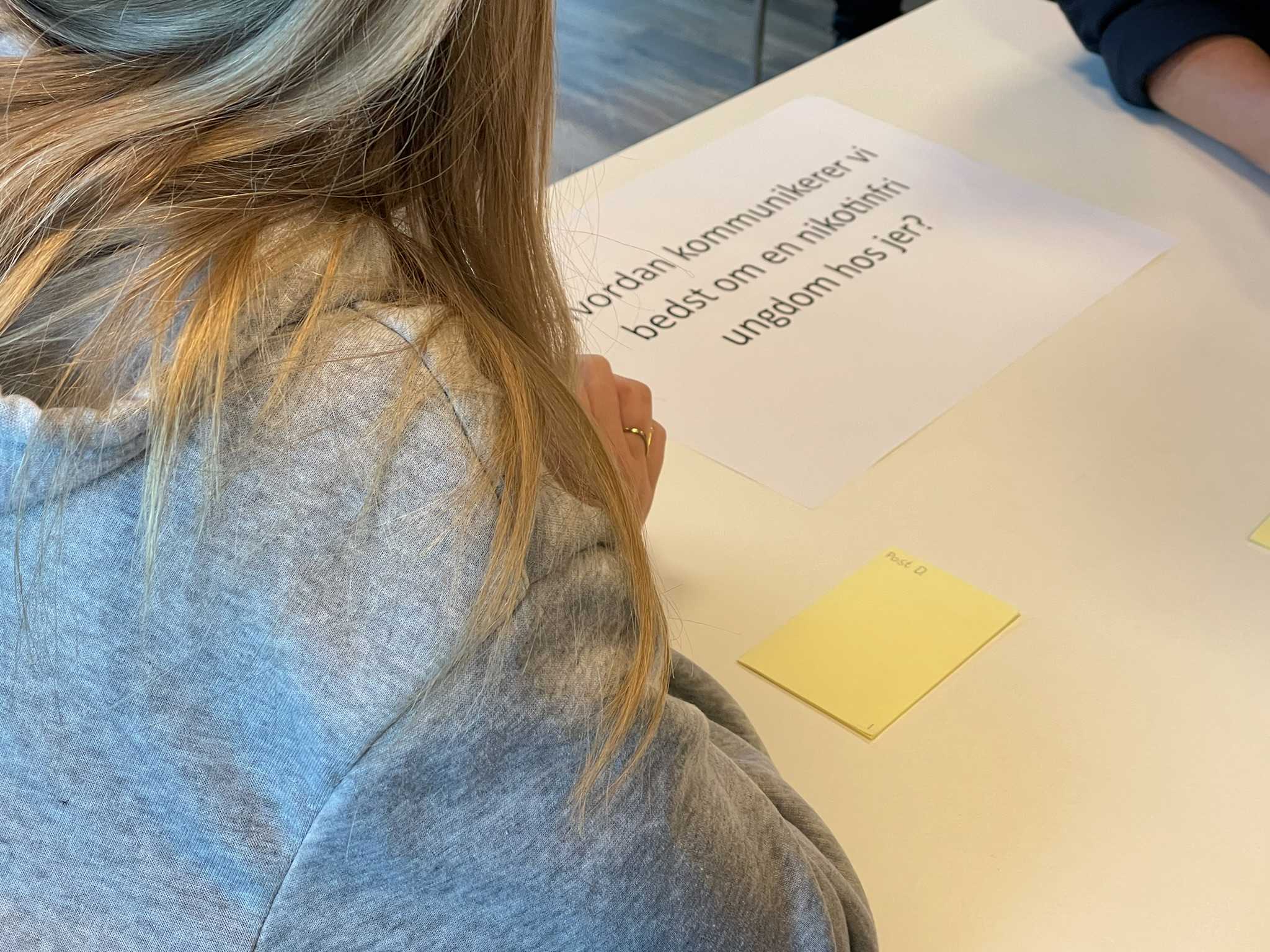 Workshop om Nikotinfri Ungdom