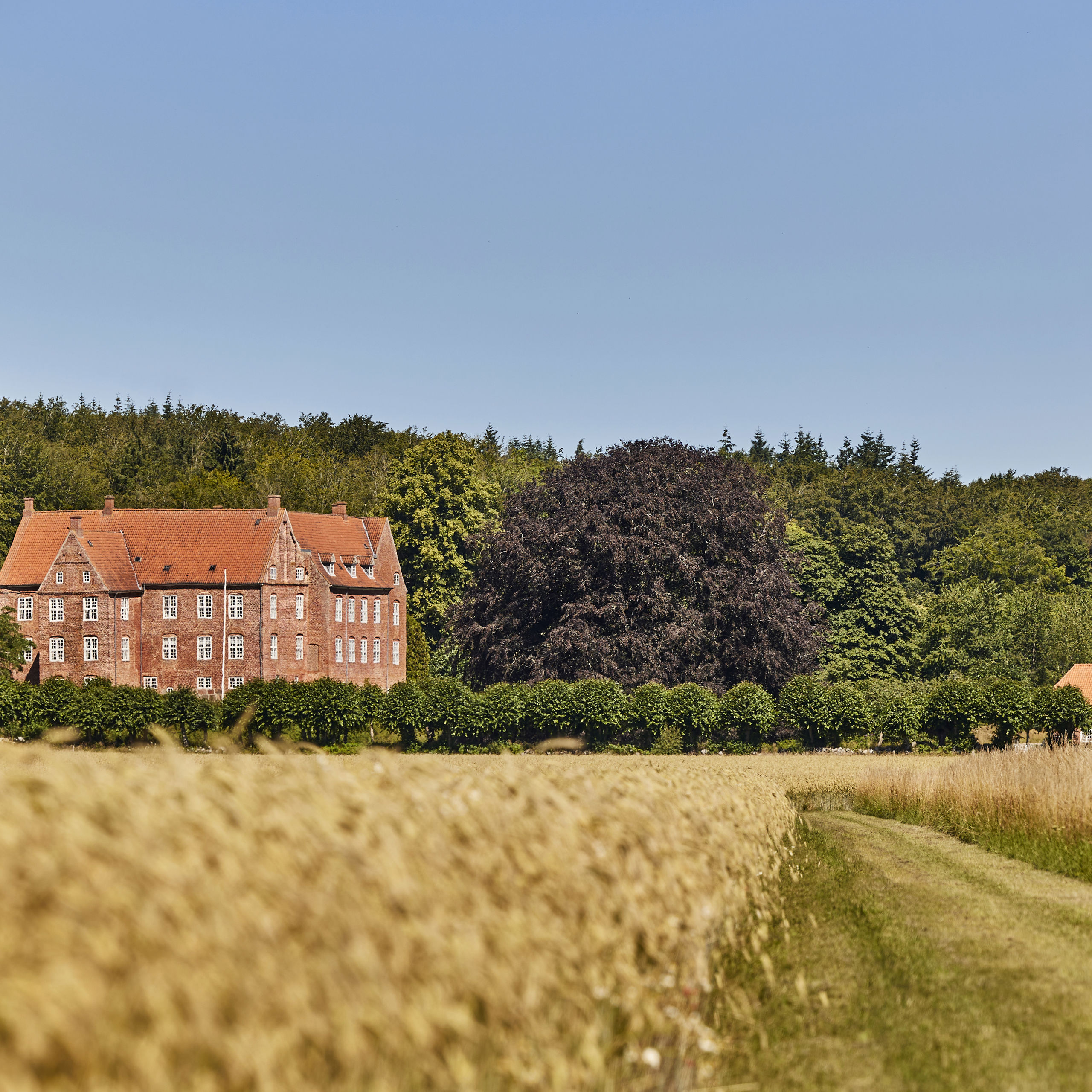 Dødislandskabet ved Støvring