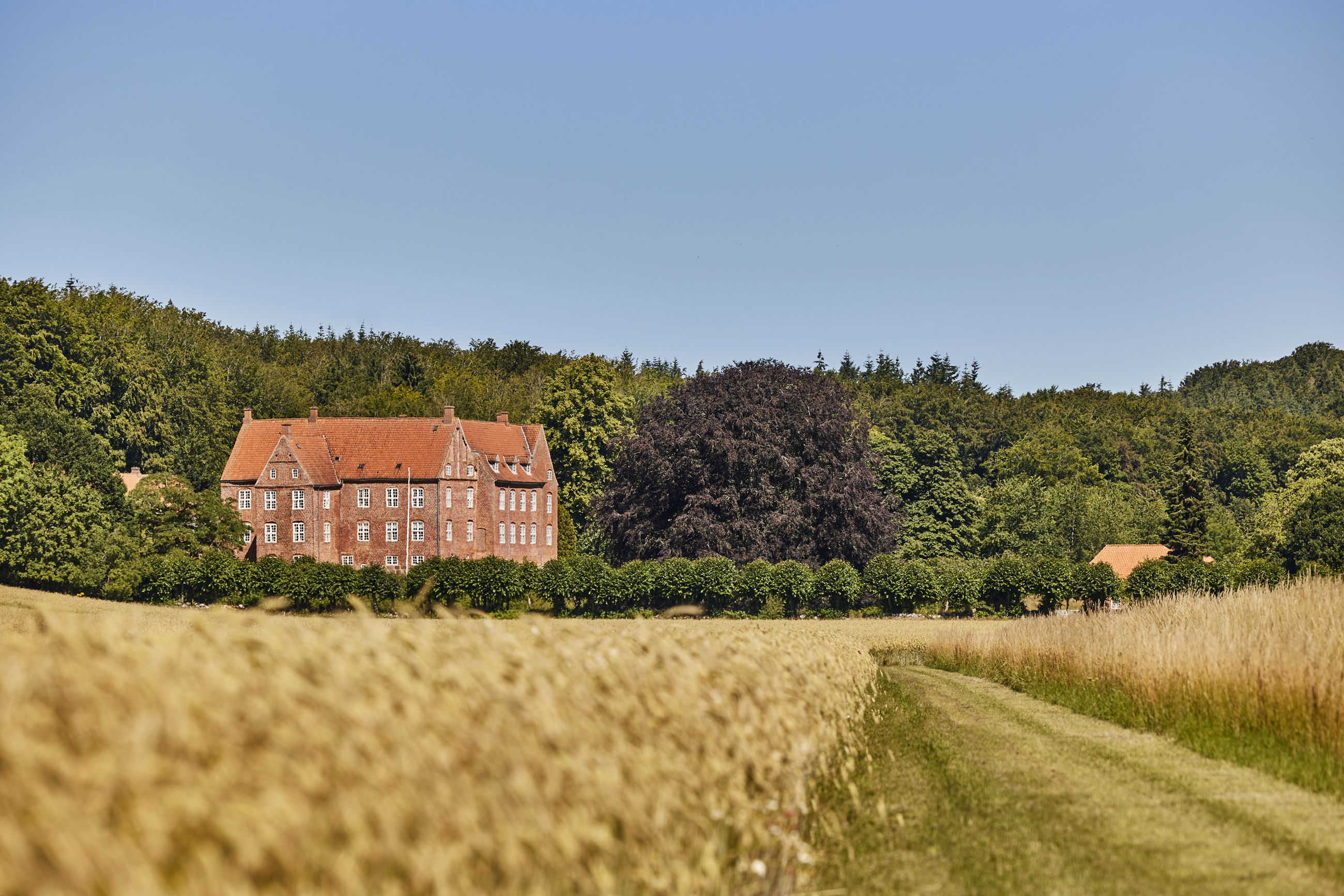 Dødislandskabet ved Støvring