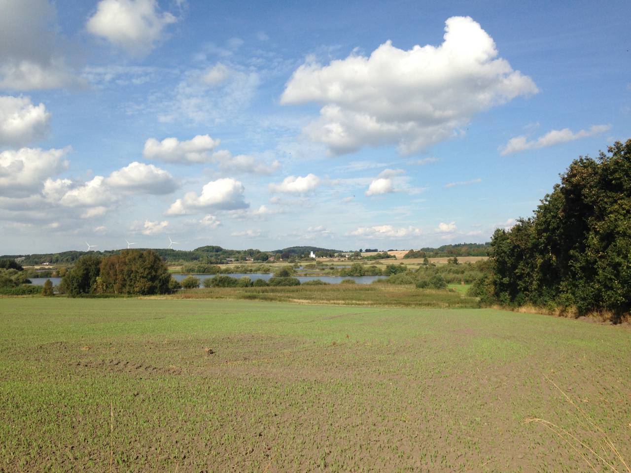 Marker og sø ved Øster Bjerregrav