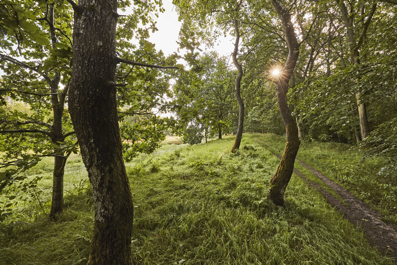 Christian III's Kanal