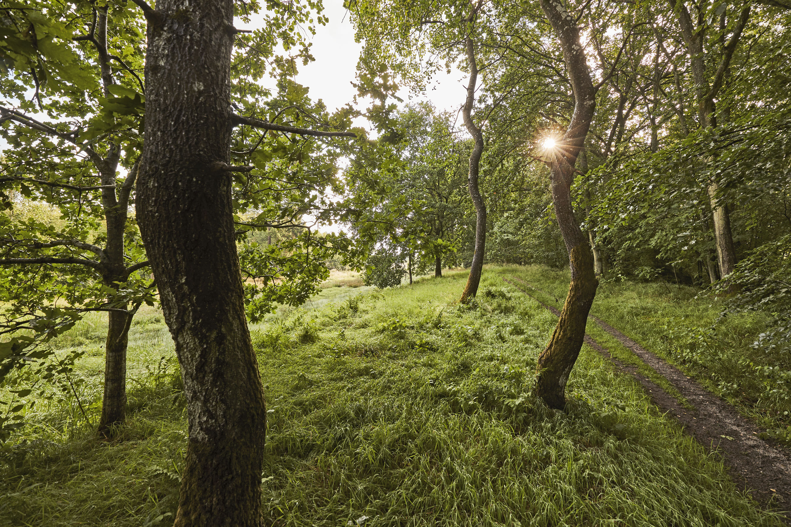 Christian III's Kanal