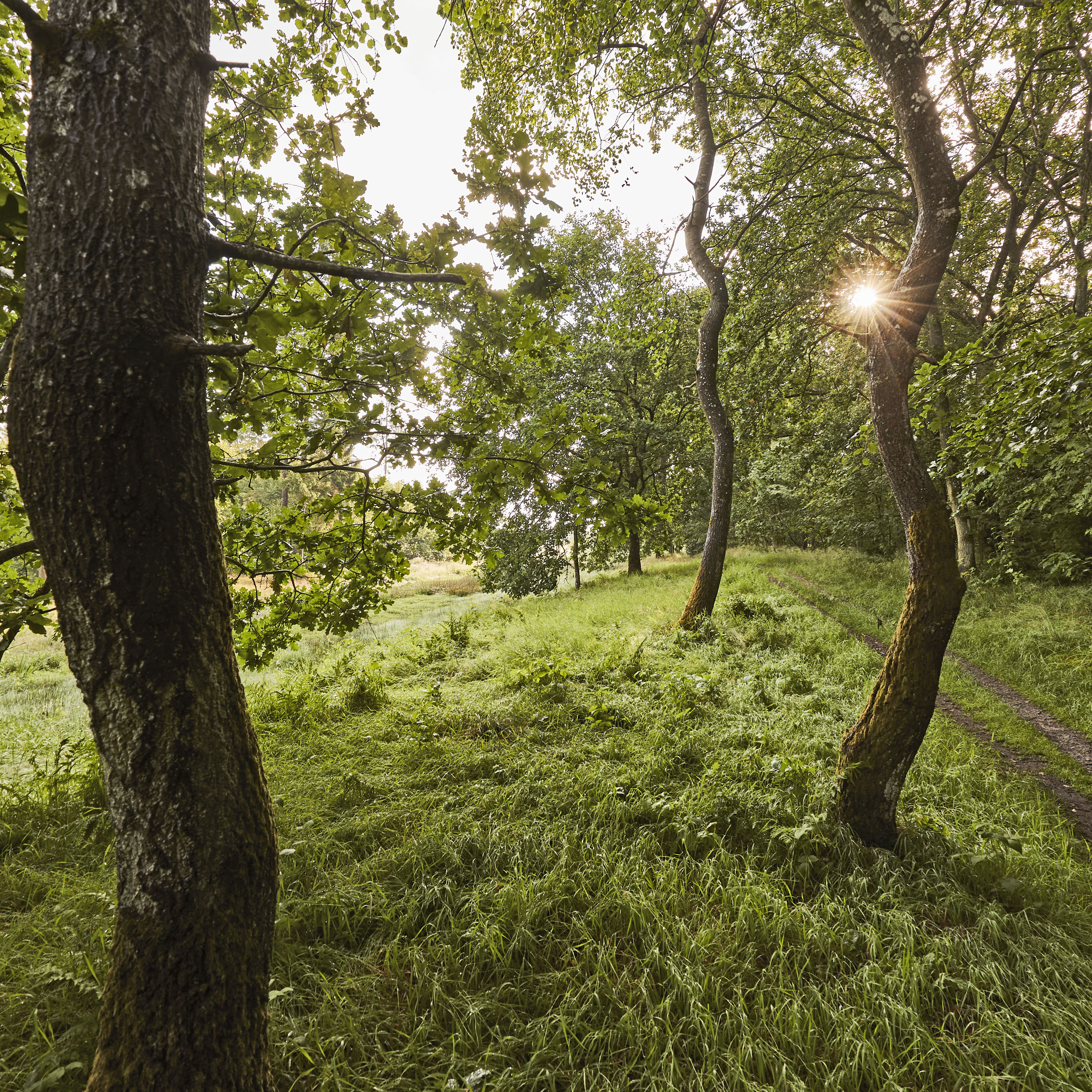 Christian III's Kanal