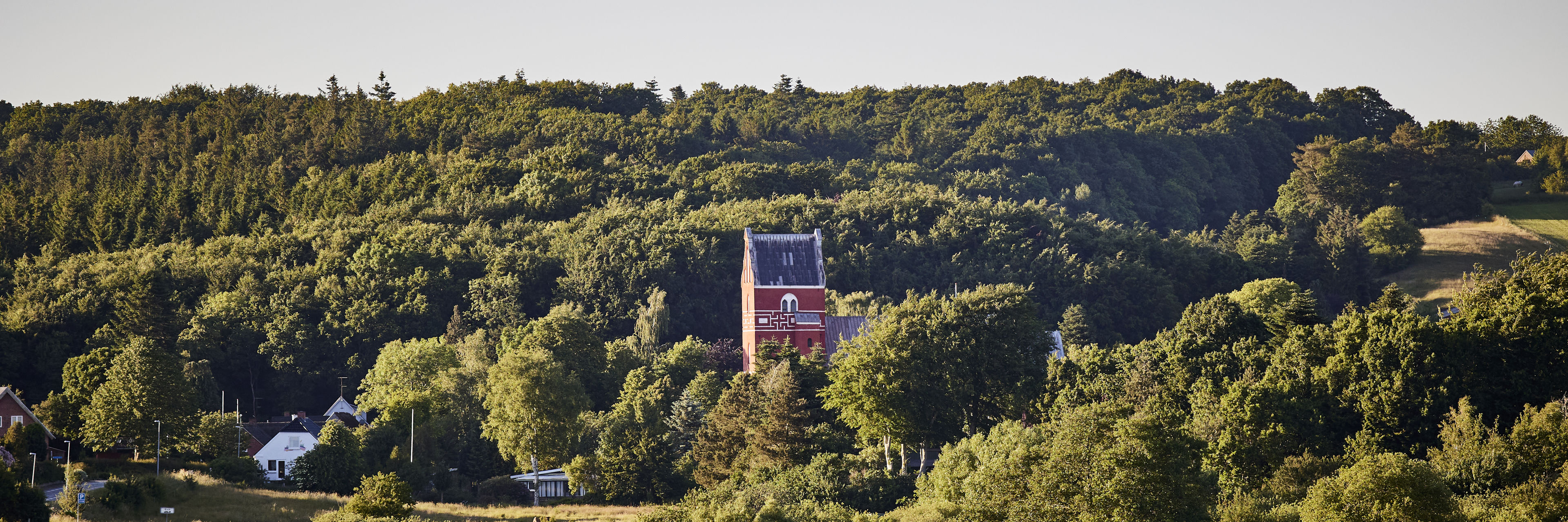 Ålum Kirke