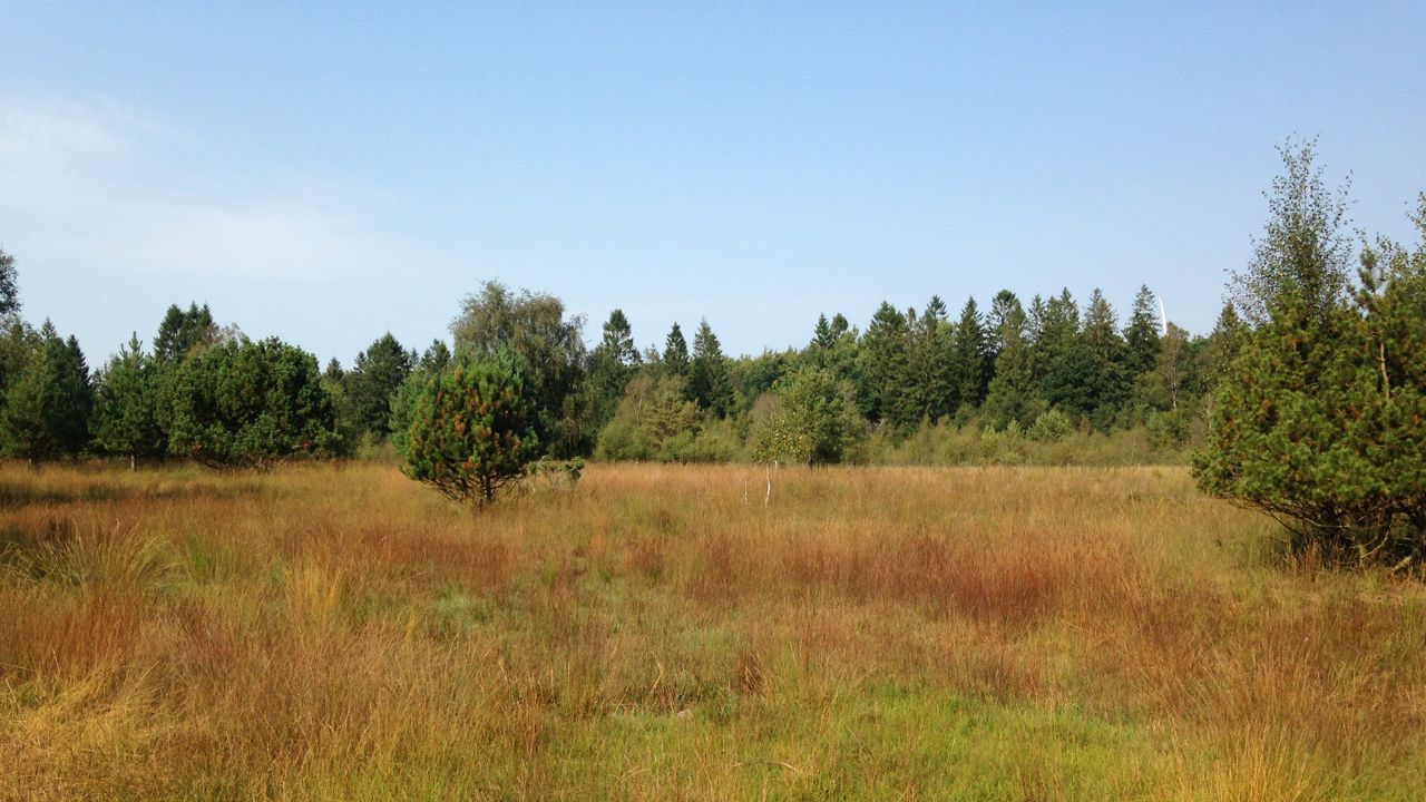 Blichers Plantage