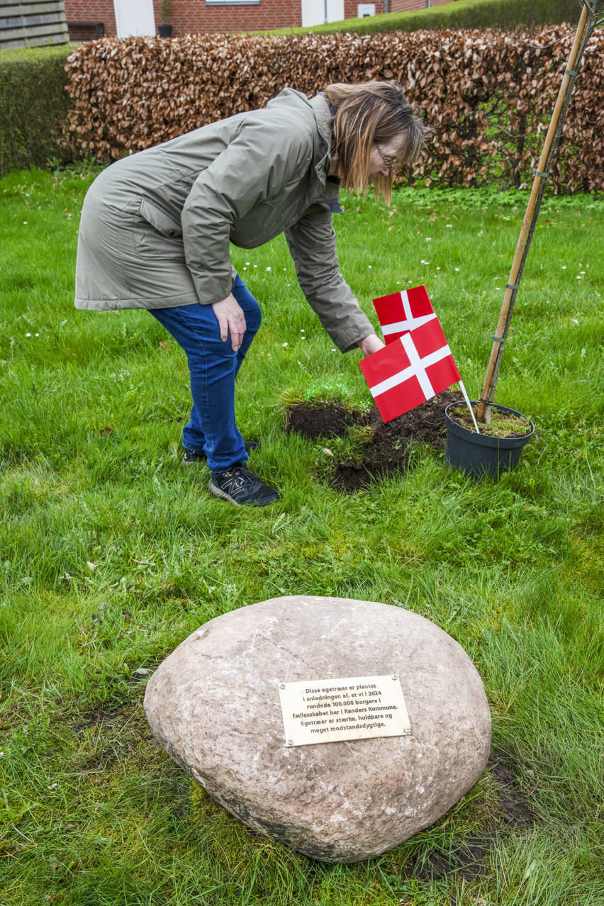 Sten med tekst om de træer, der blev plantet i forbindelse med fejringen af borger nr. 100.000 i Fårup
