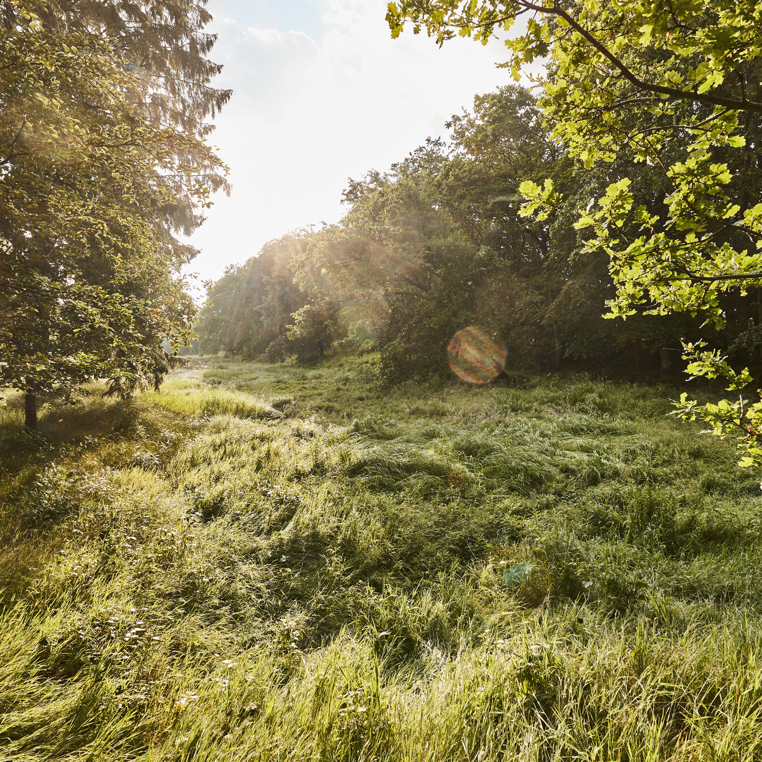 Christian III's Kanal