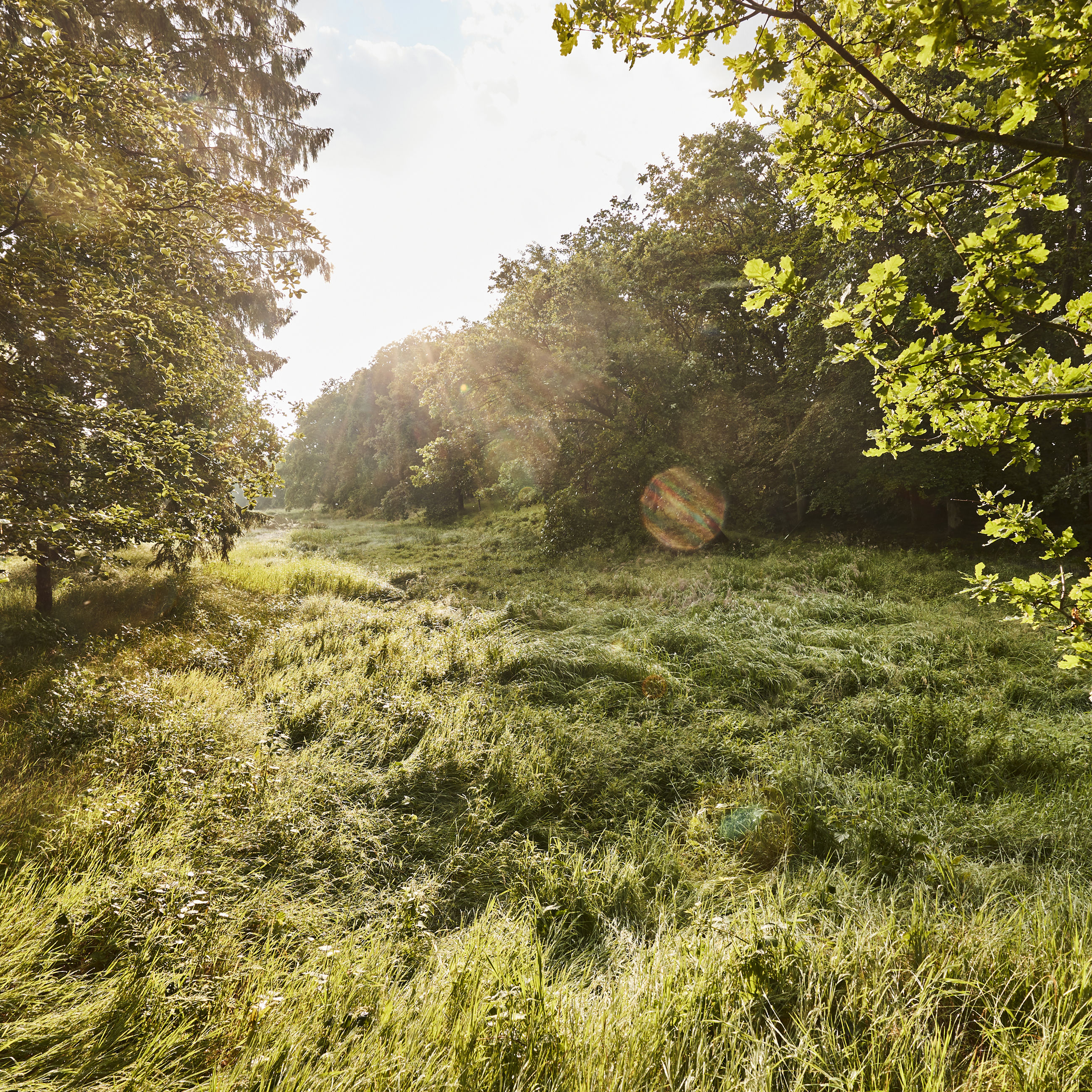 Christian III's Kanal