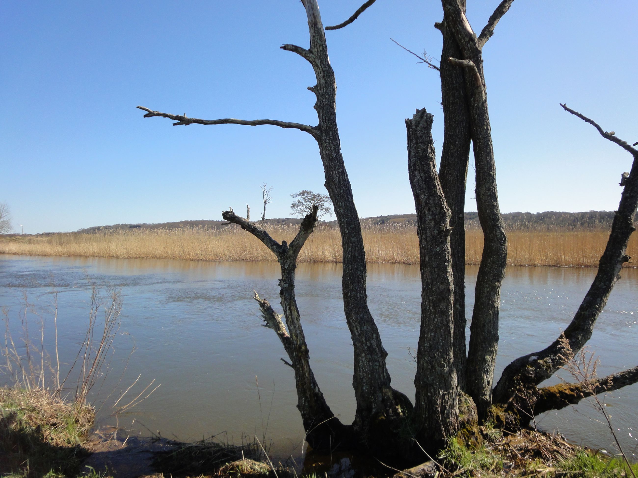 I pramdragernes spor