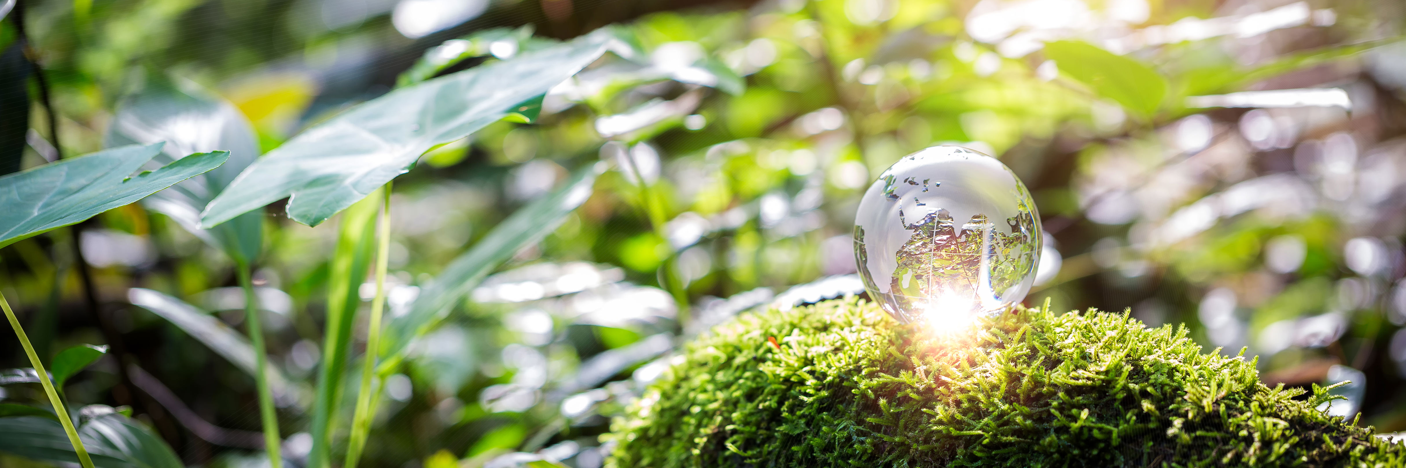 Vanddråbe-globus i have