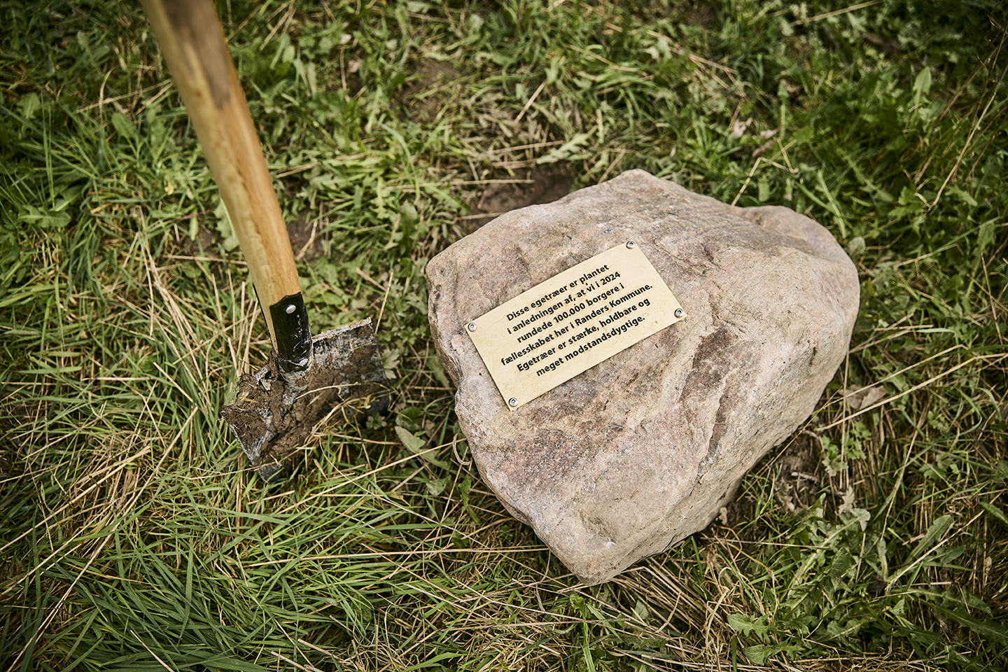 Sten med tekst om de træer, der blev plantet i forbindelse med fejringen af borger nr. 100.000 i Mellerup