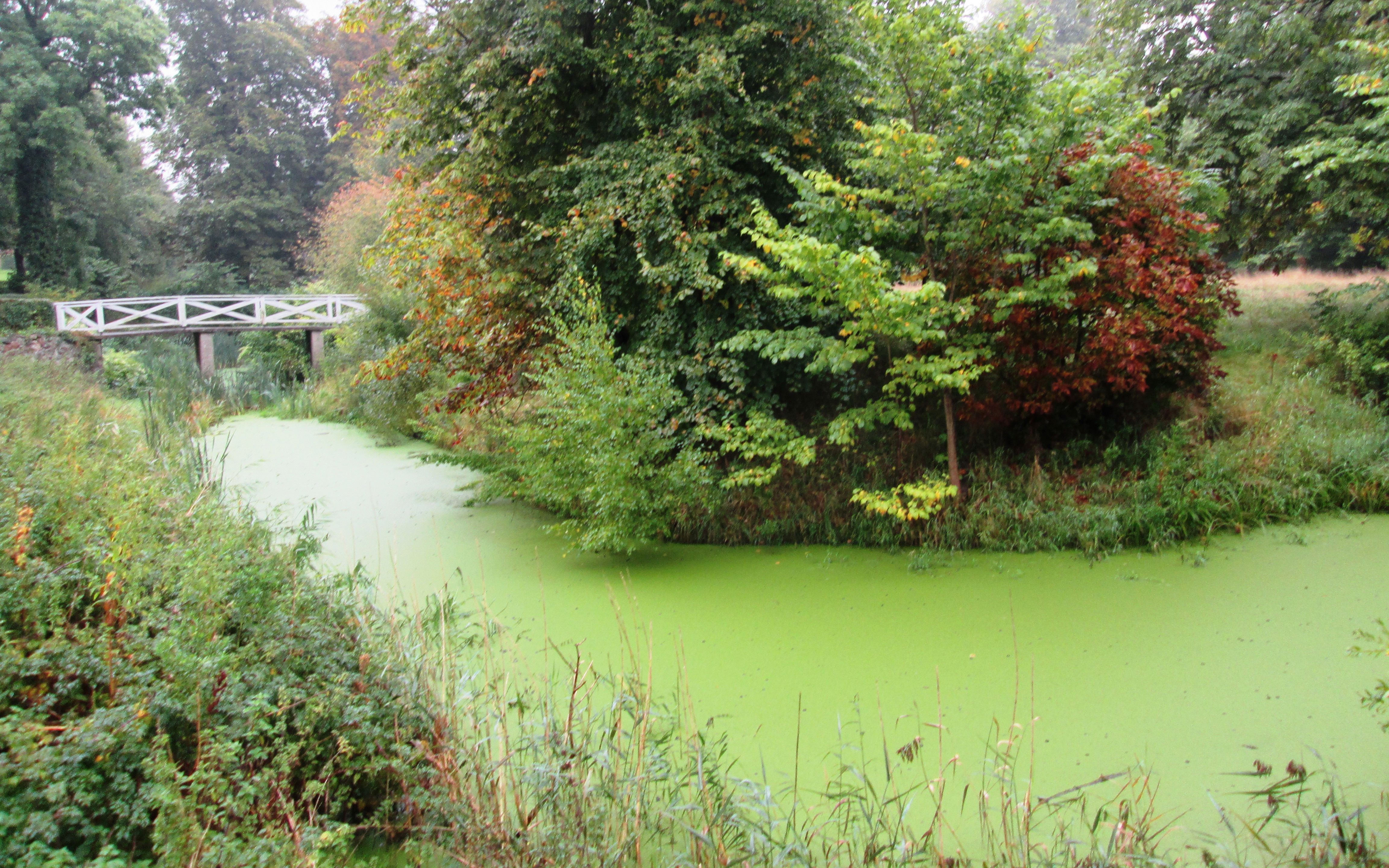 Voldgraven ved Brusgård