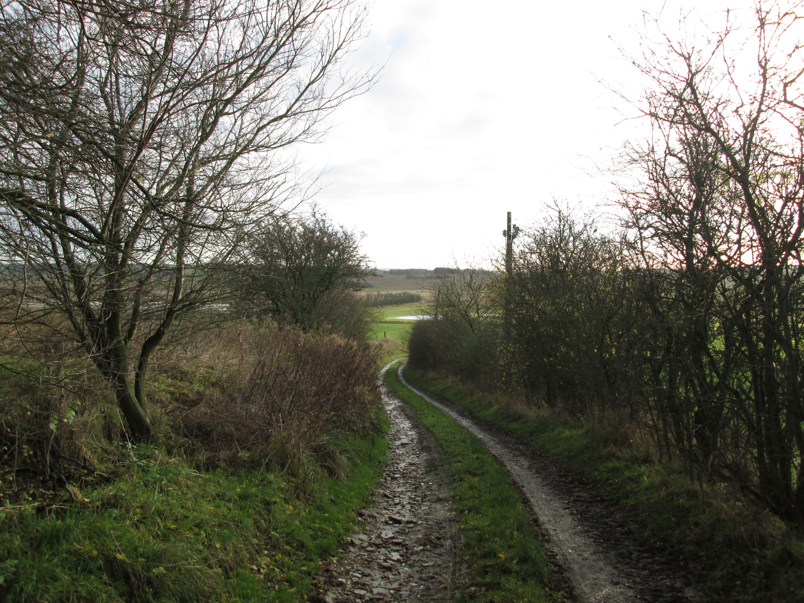 Natursti ved Gjandrup og Venning
