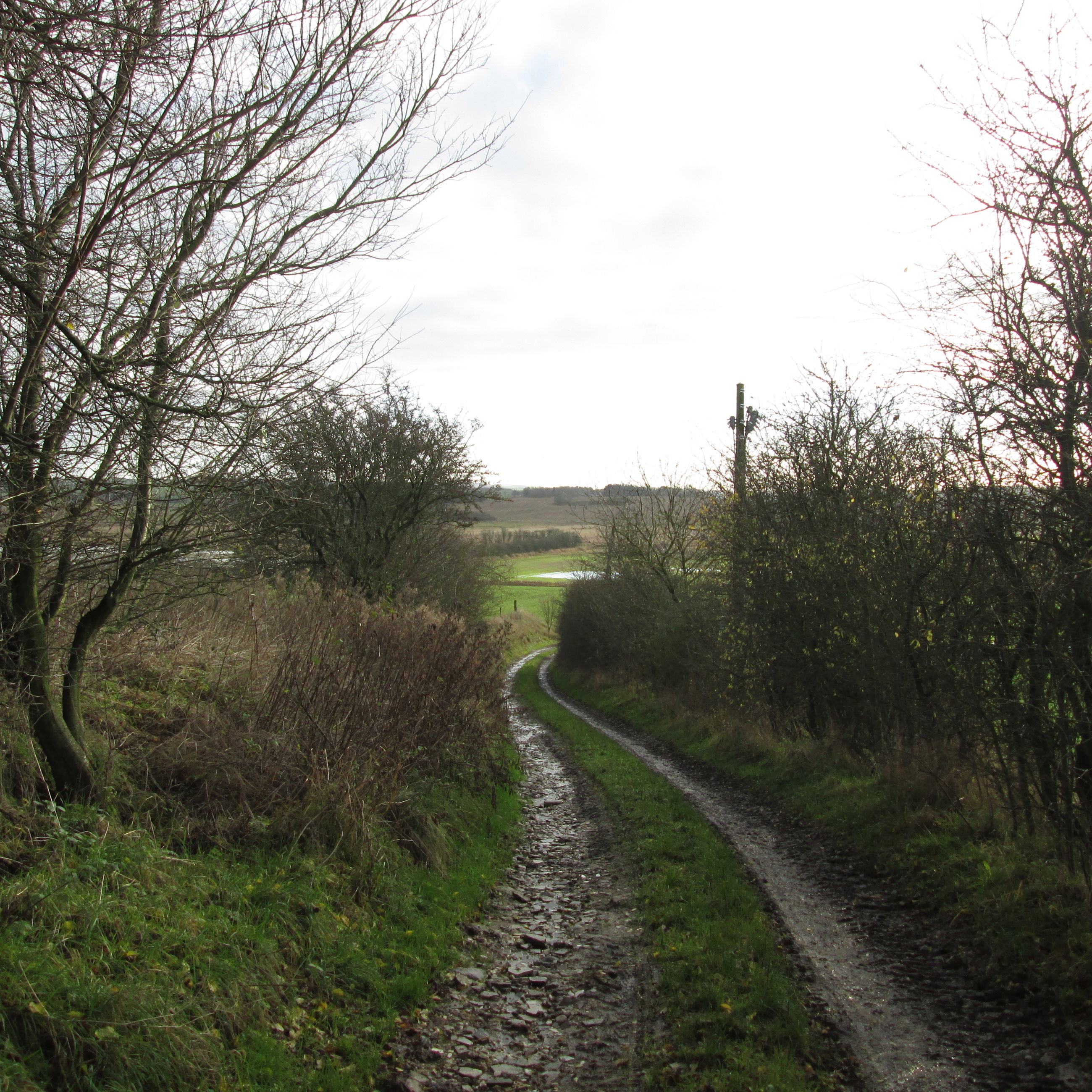 Natursti ved Gjandrup og Venning