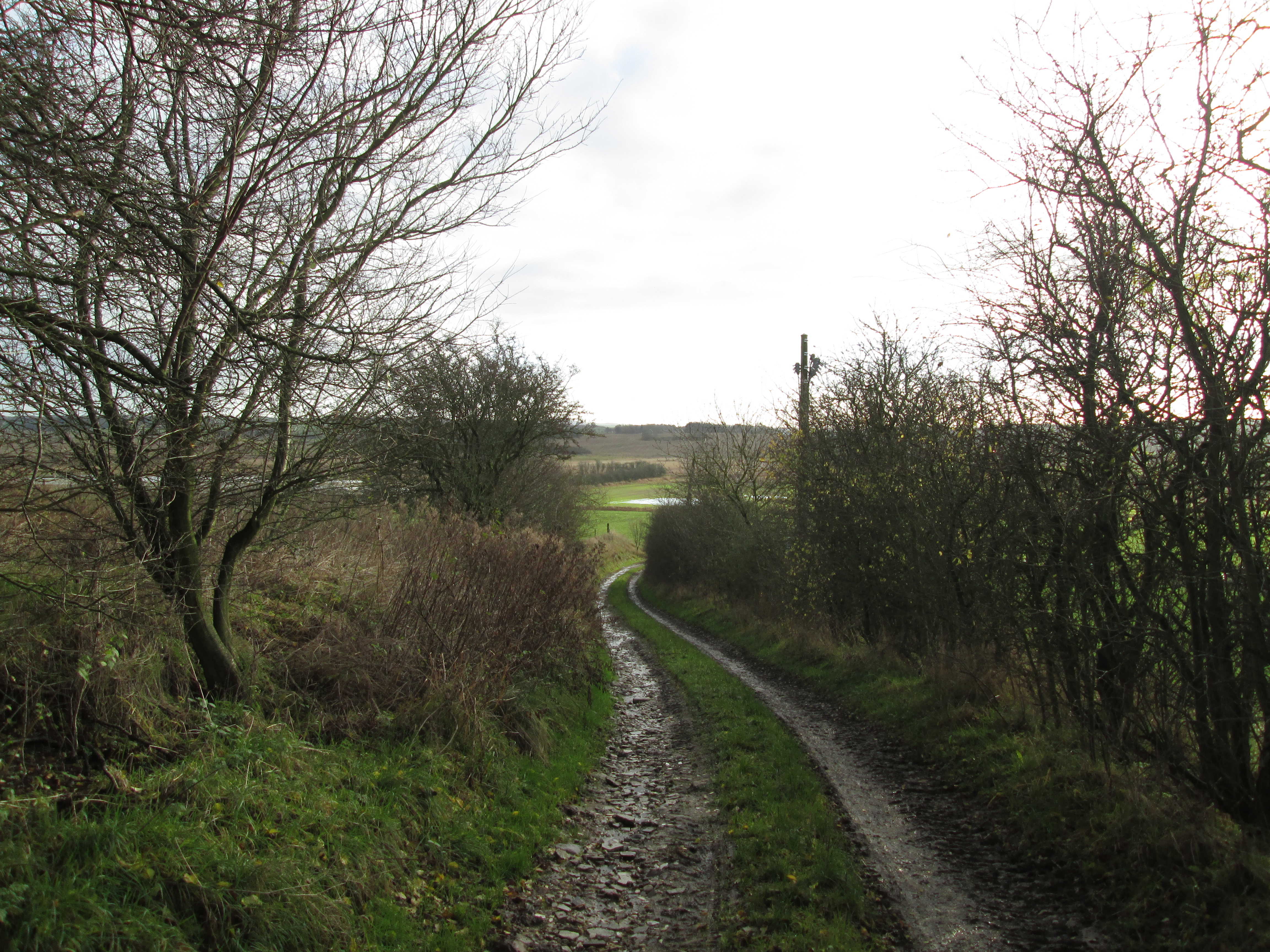 Natursti ved Gjandrup og Venning