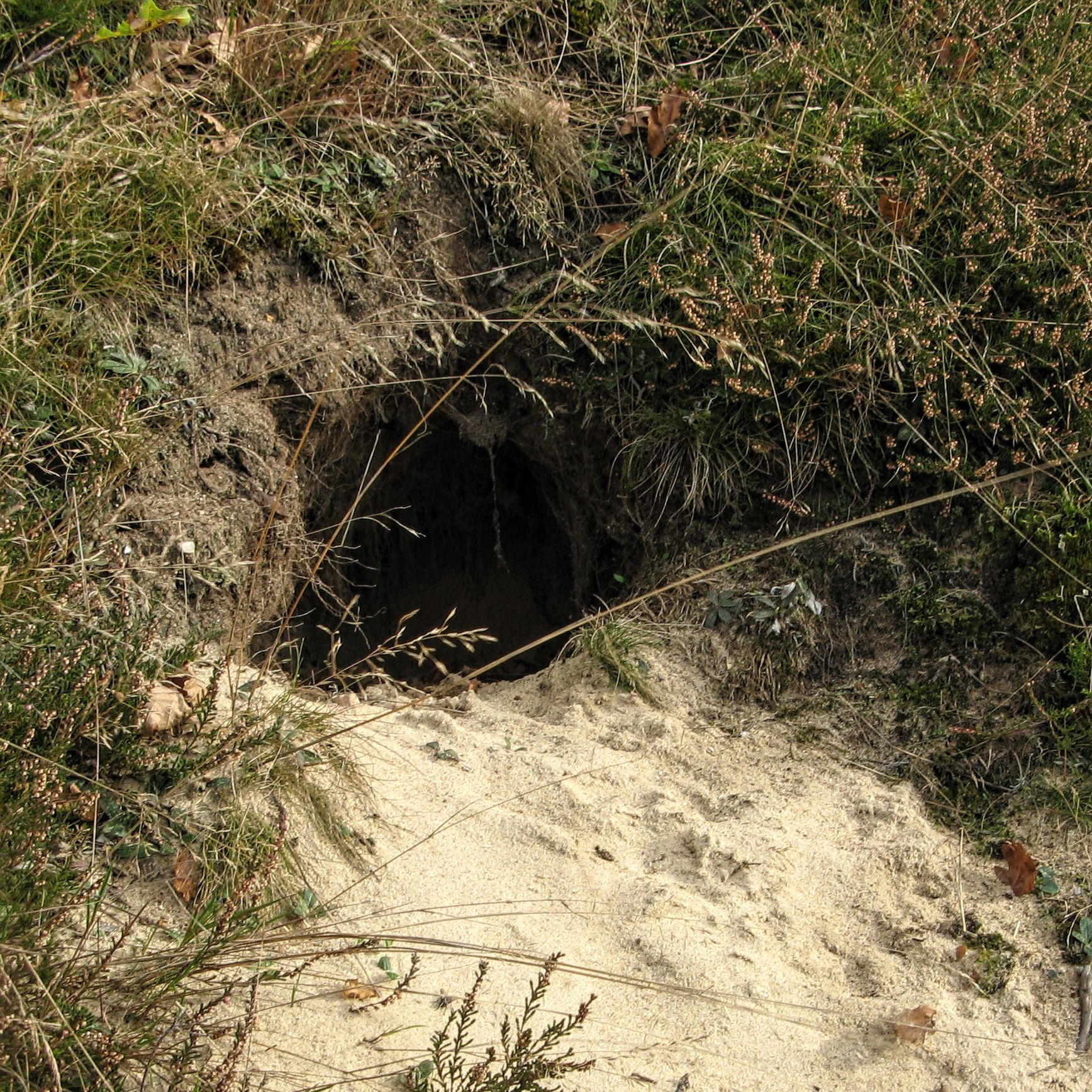 Hule i Assentoft Bakker