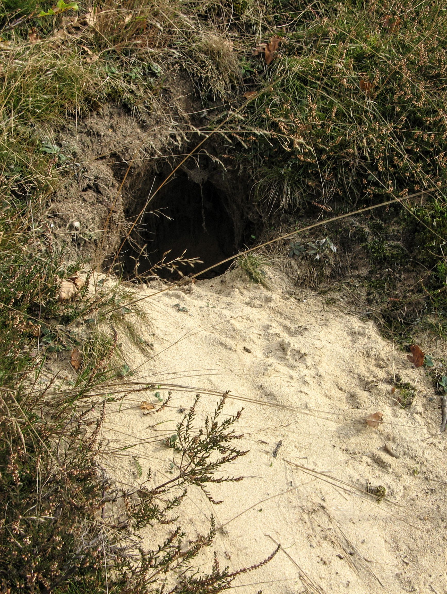 Hule i Assentoft Bakker