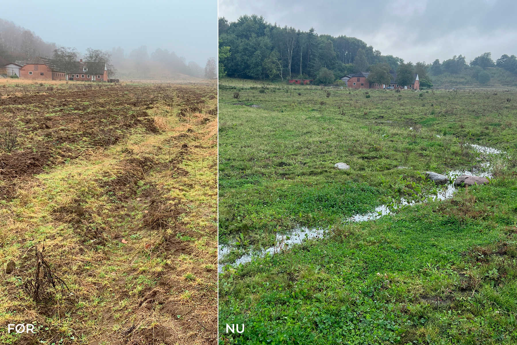 Før og efter ved Læsten Vandløb